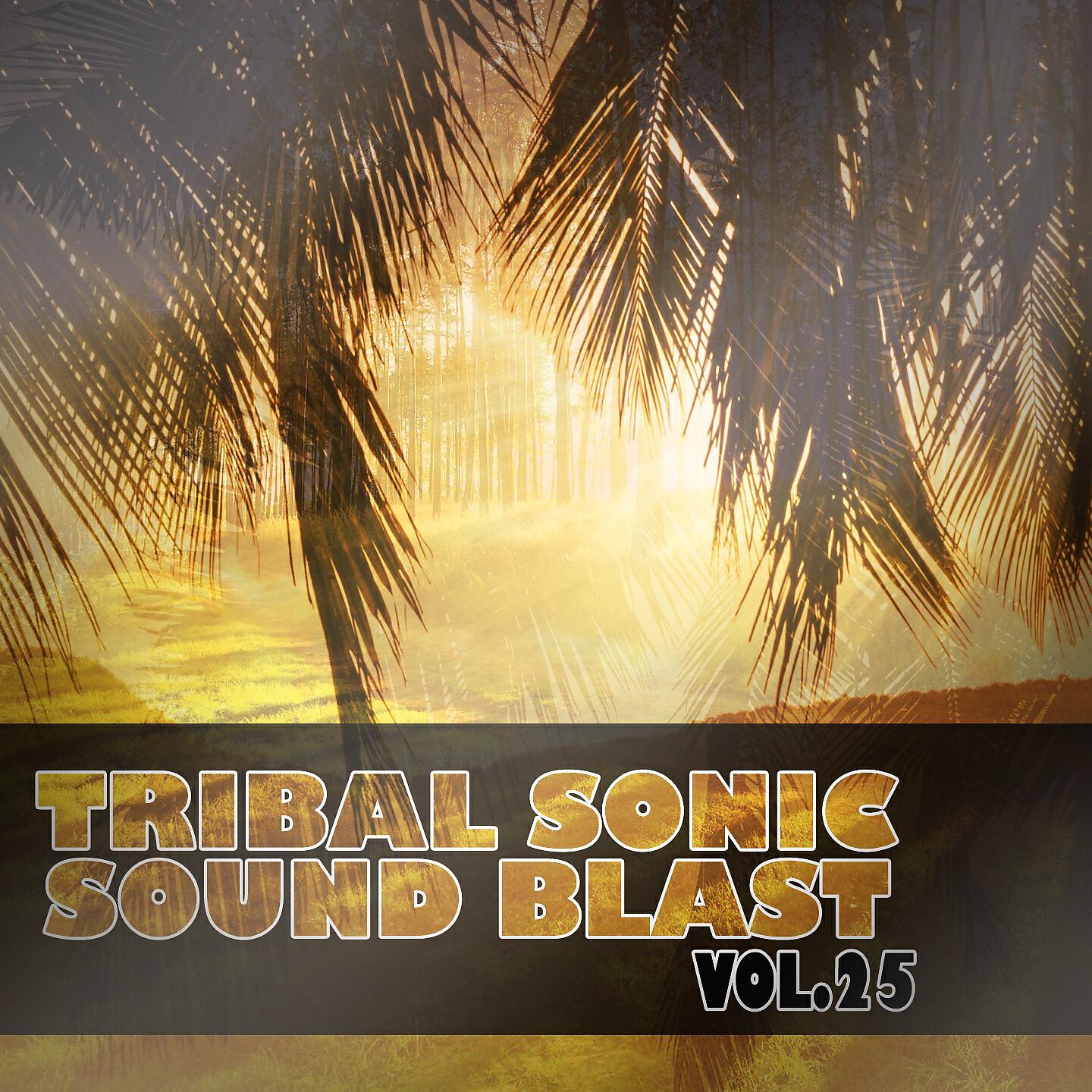 Релиз Tribal Sonic Soundblast,Vol.25