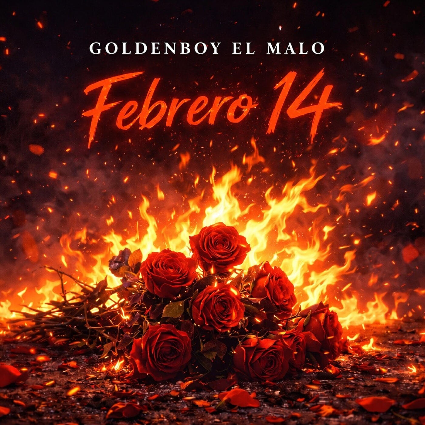 Релиз Febrero 14