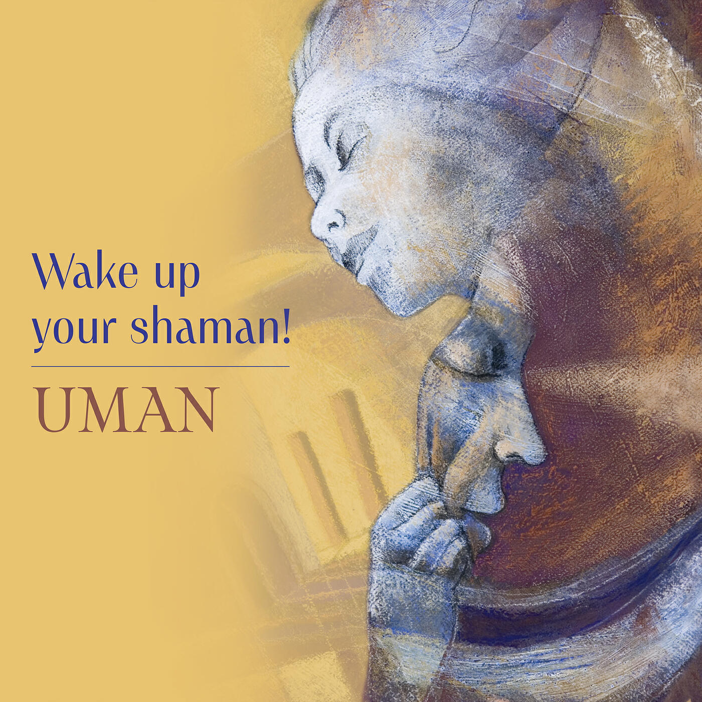 Постер альбома Wake up Your Shaman !