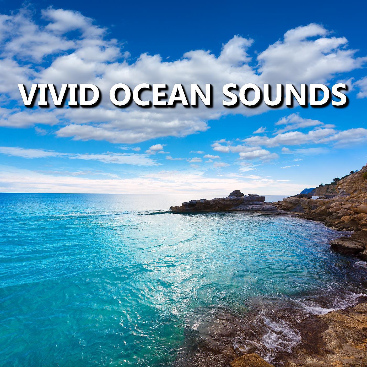 Постер альбома Vivid Ocean Sounds