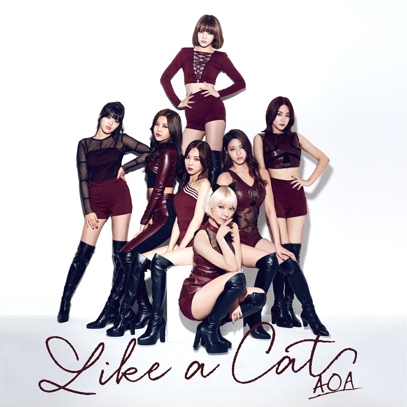 Релиз Like A Cat