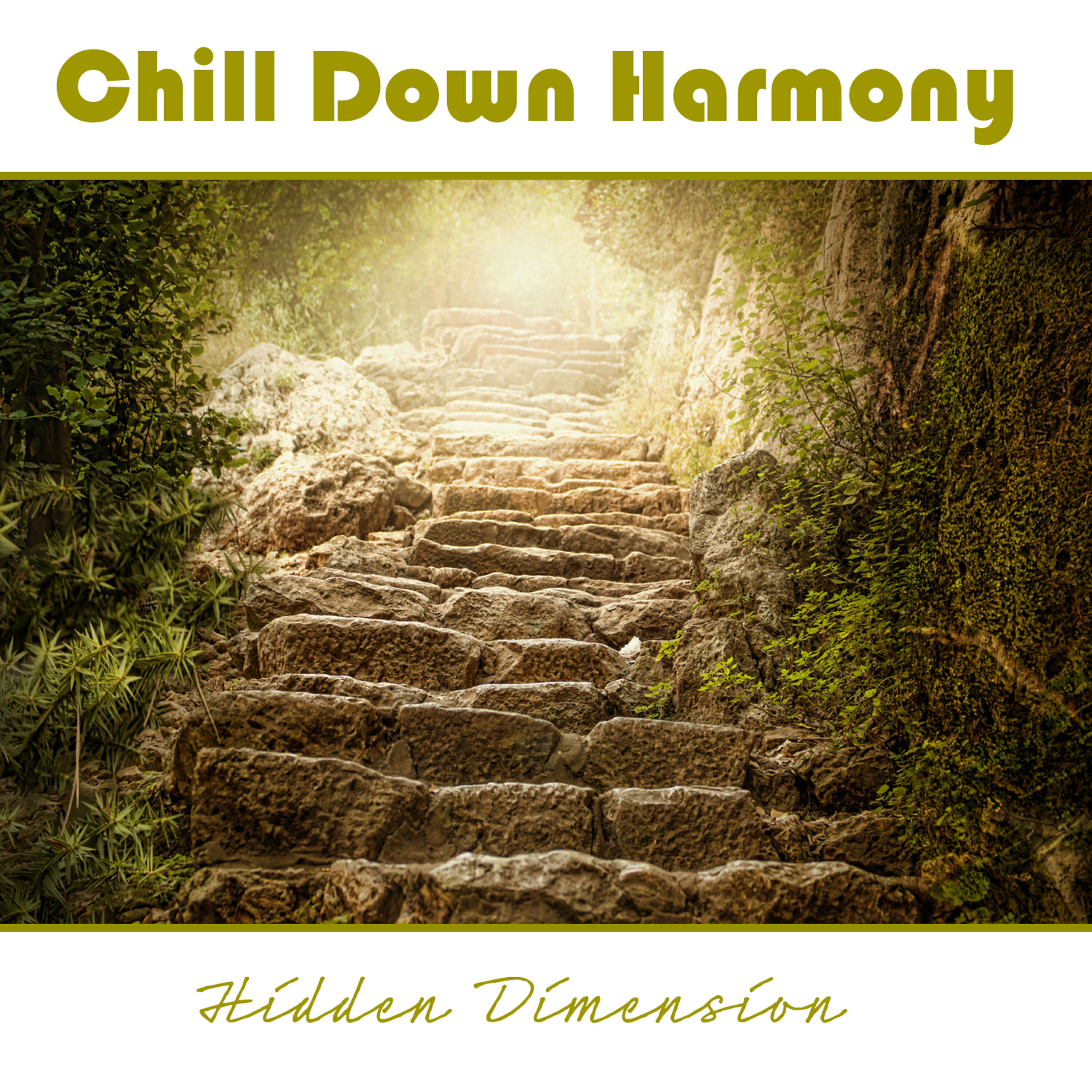 Релиз Hidden Dimension