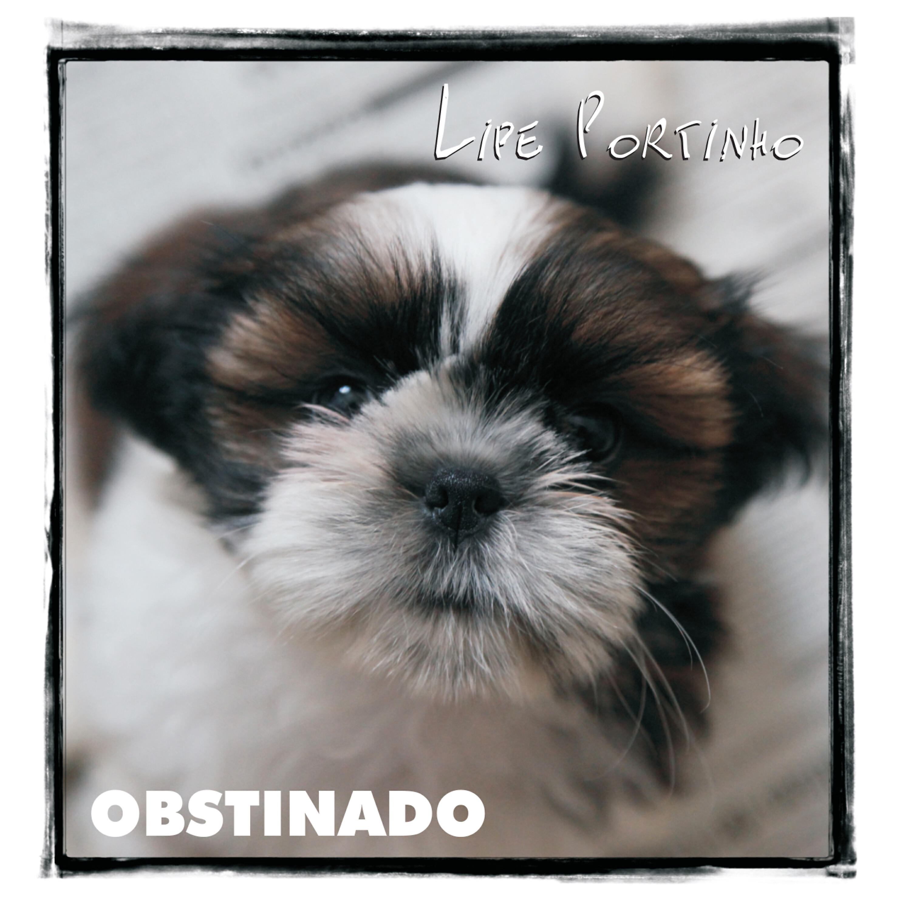 Релиз Obstinado