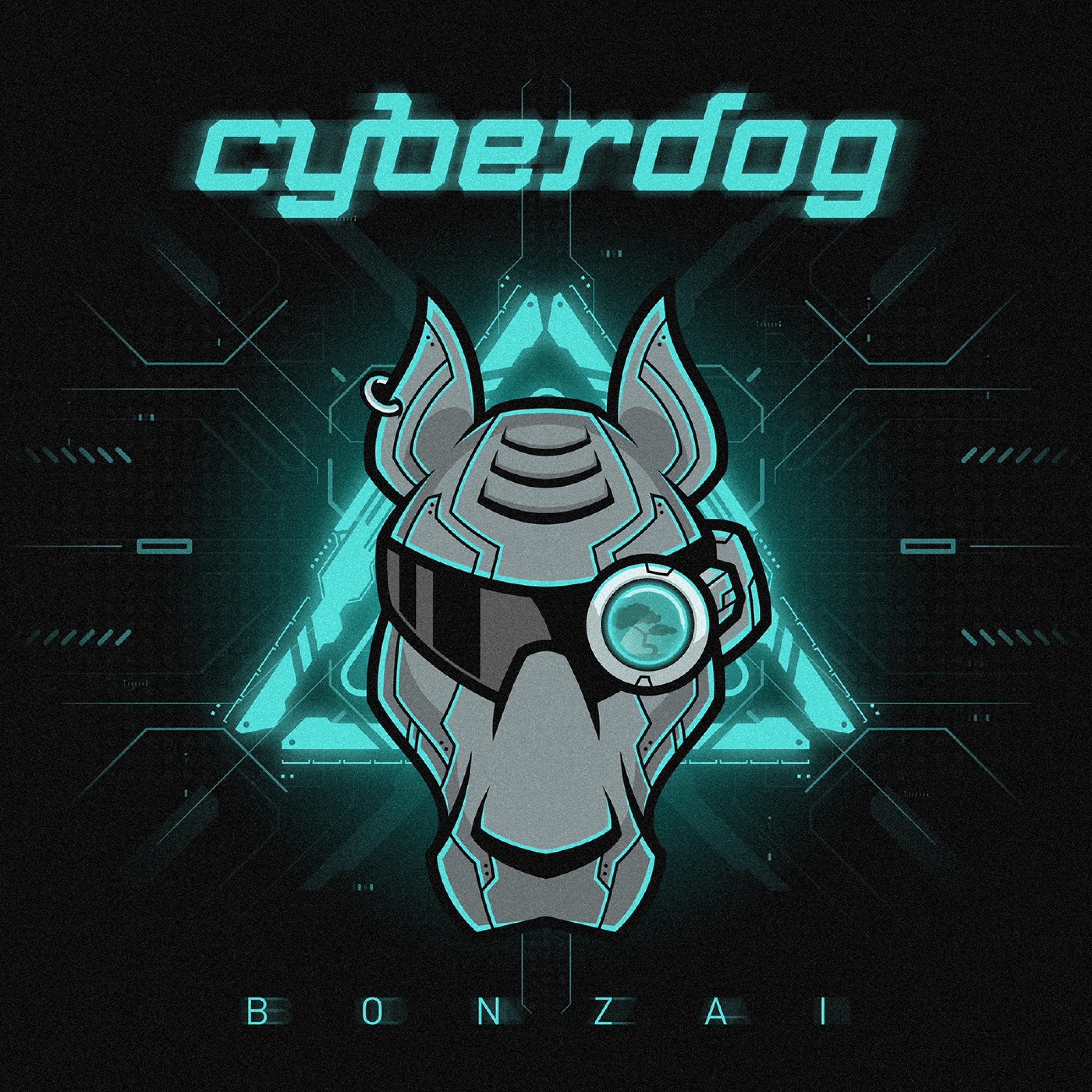 Релиз Cyberdog