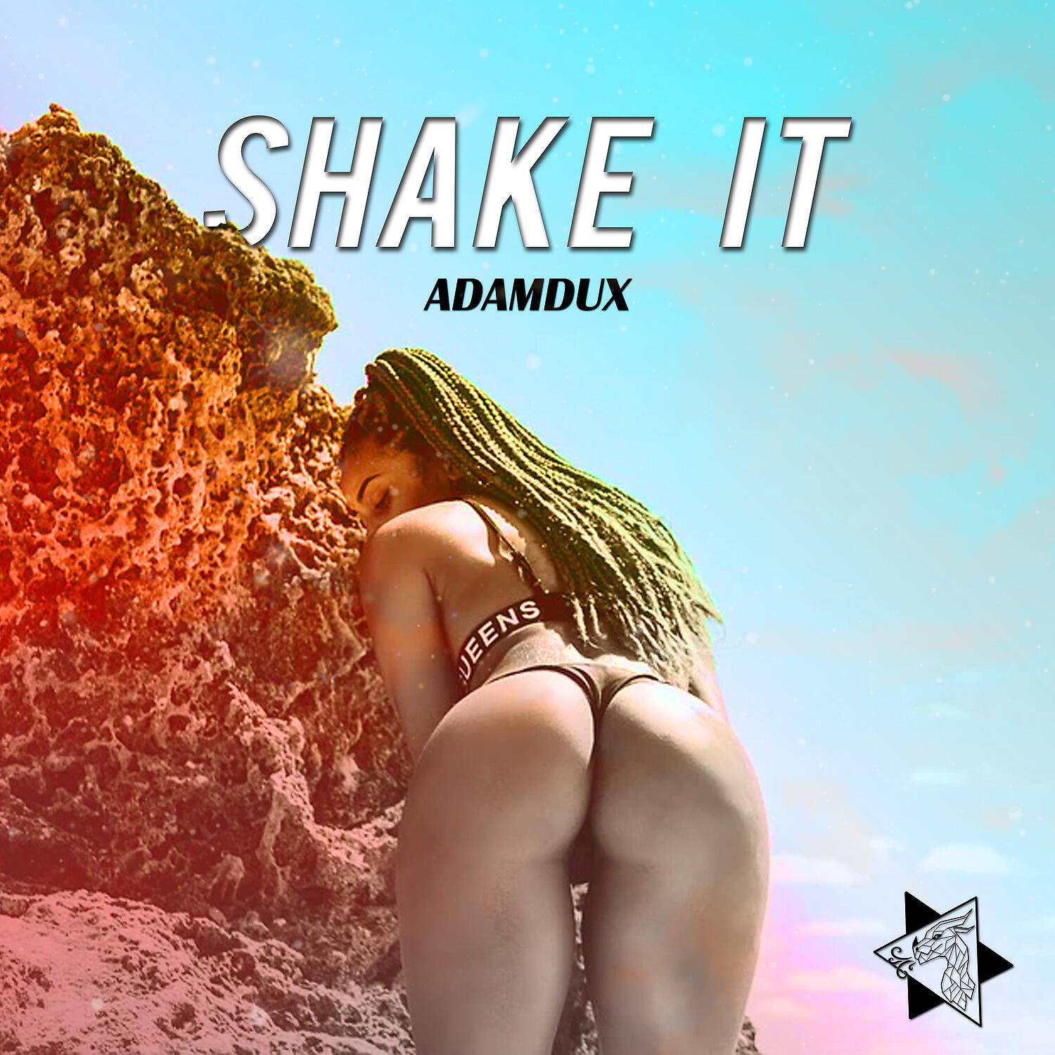 Релиз Shake It