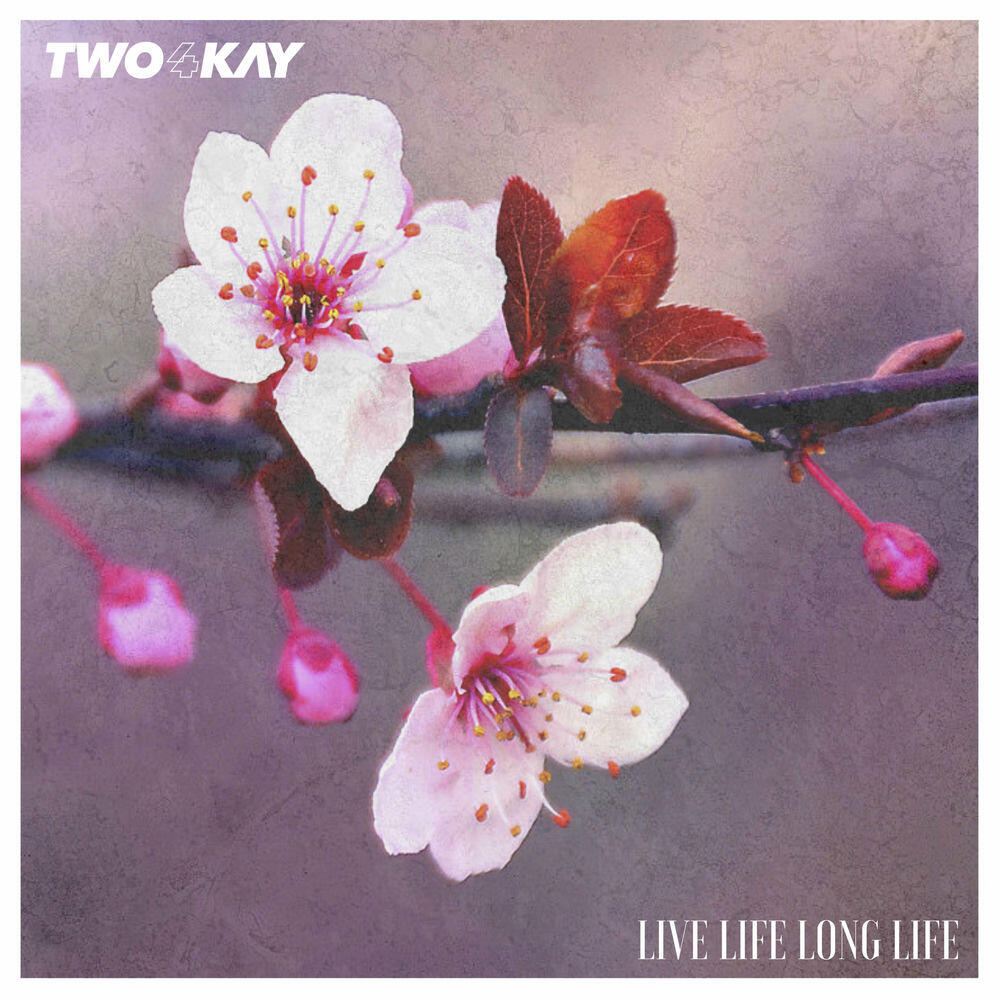 Релиз Live Life Long Life