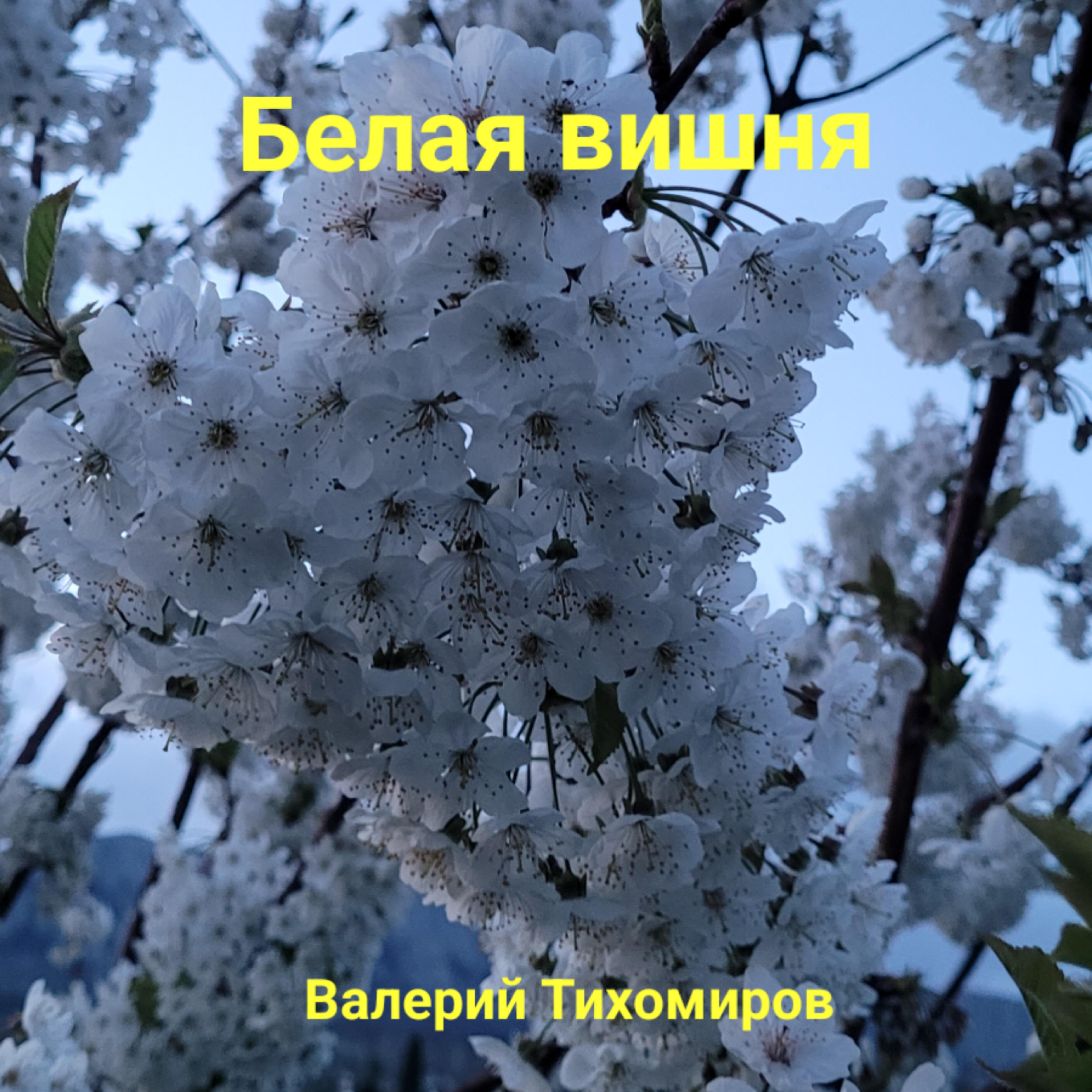 Релиз Белая вишня