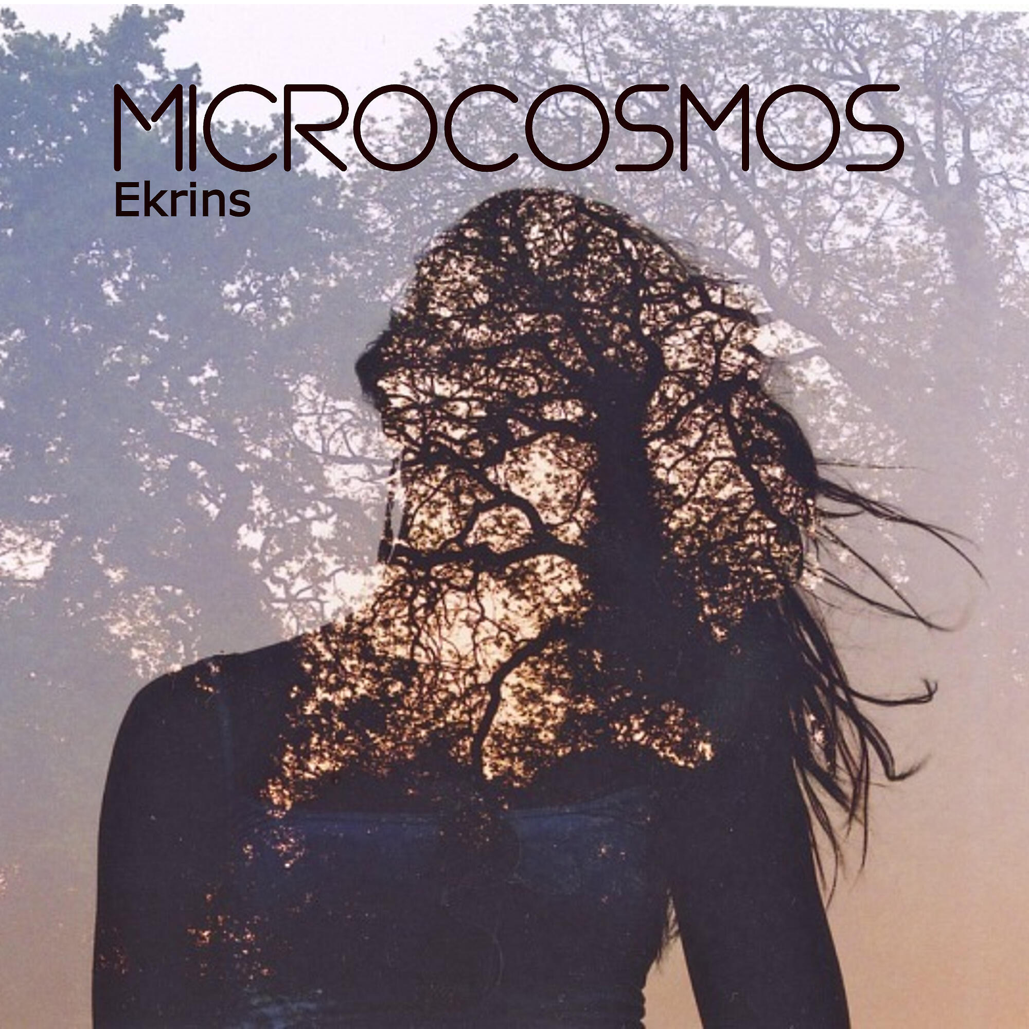 Релиз Microcosmos