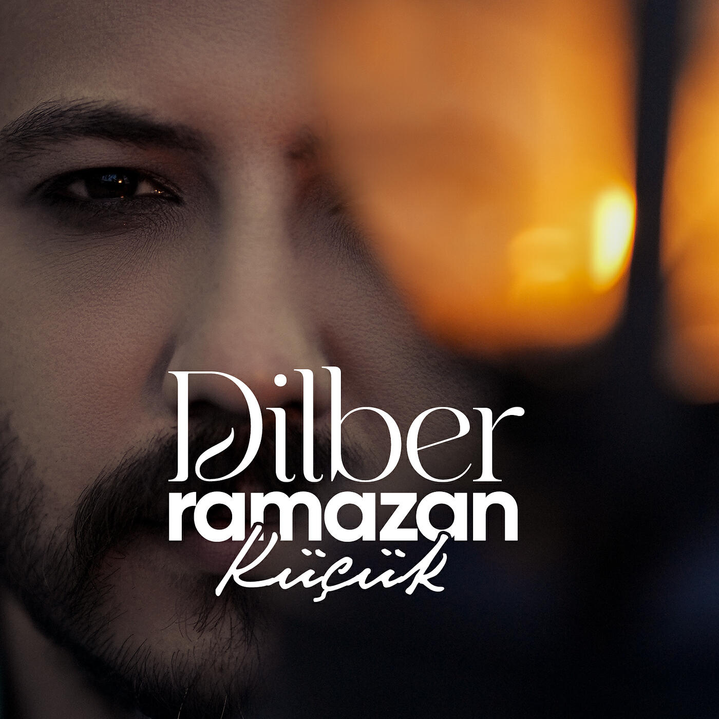 Постер альбома Dilber