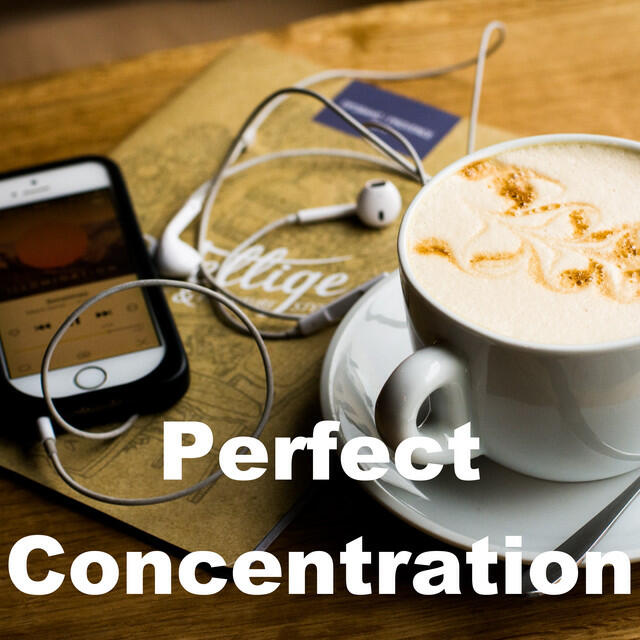 Релиз Perfect Concentration