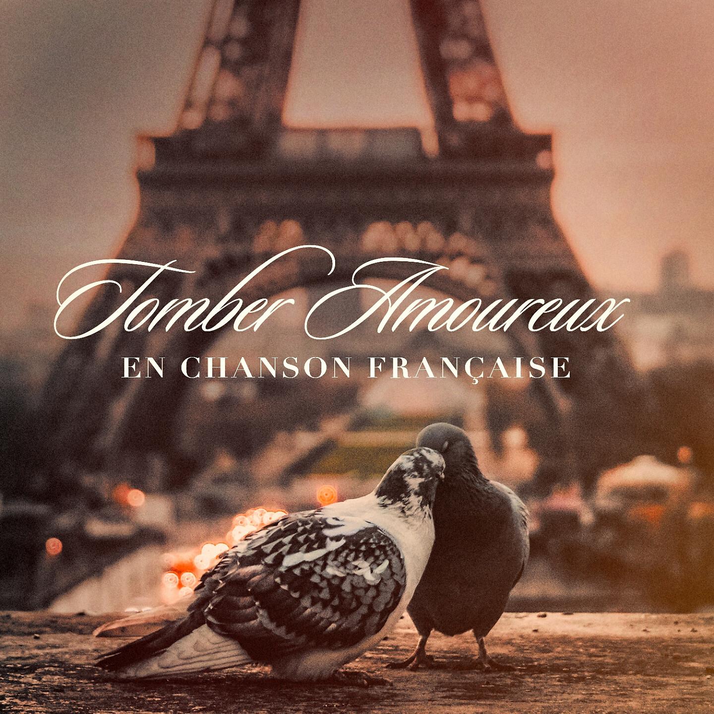 Постер альбома Tomber amoureux en chanson française