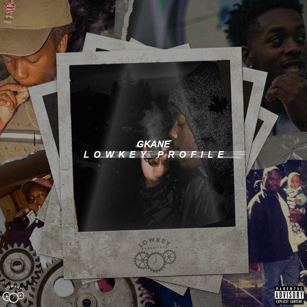 Релиз Lowkey Profile