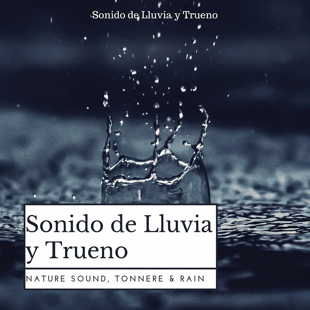 Sonido de Lluvia y Trueno - Una Lluvia Mágica Para Nuestros Sentidos