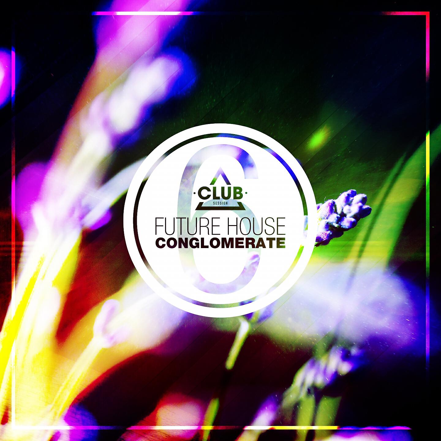Релиз Future House Conglomerate, Vol. 6