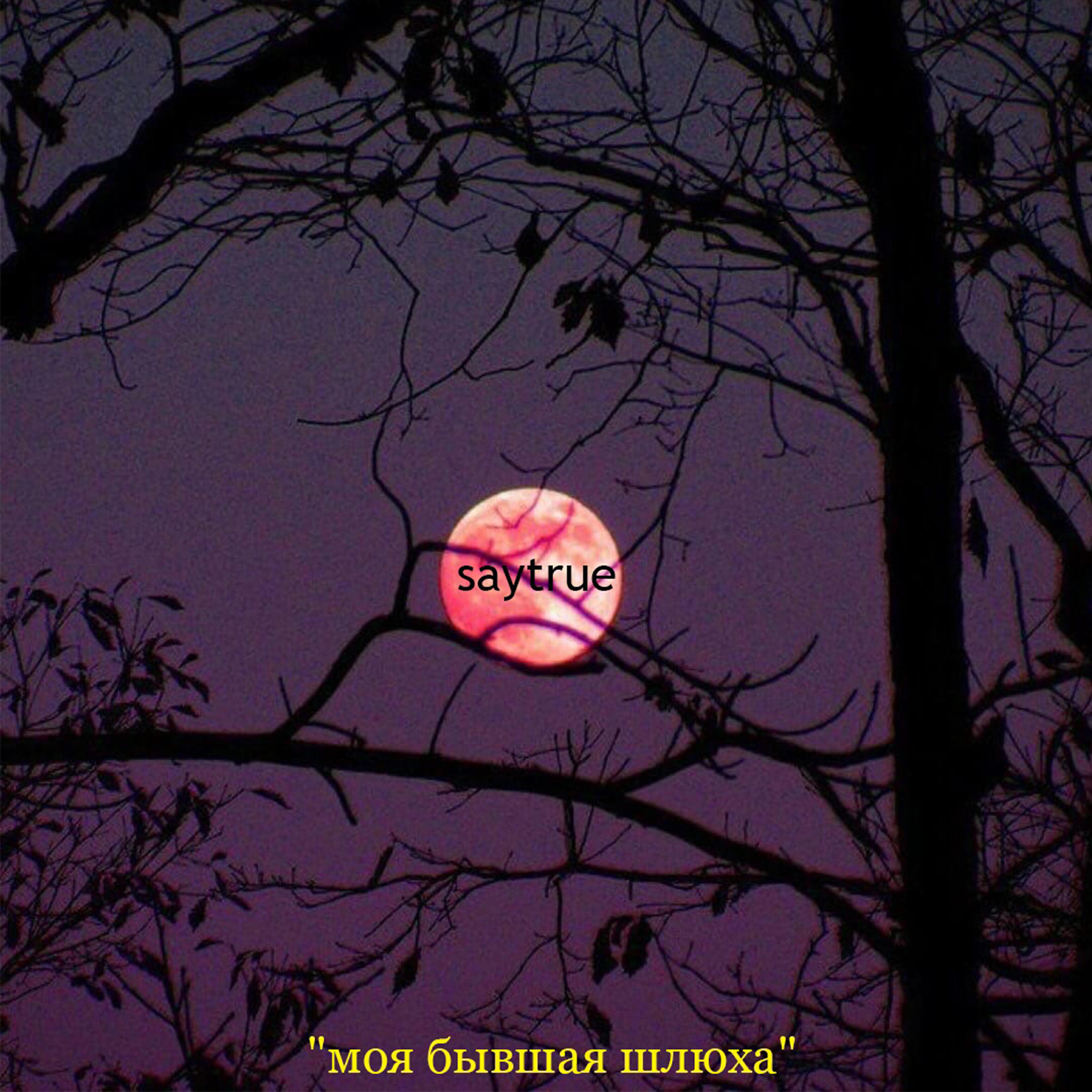 Релиз Моя бывшая шлюха
