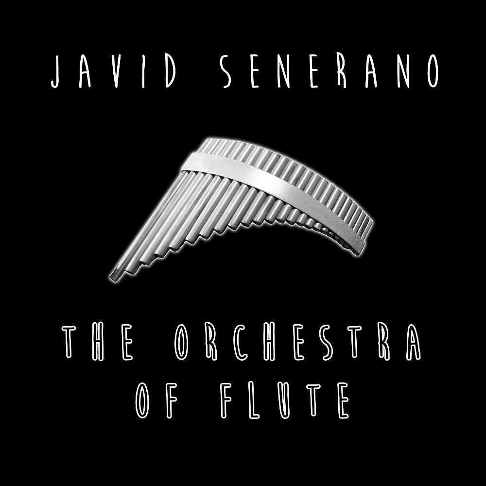 Релиз The Orchestra of Flute