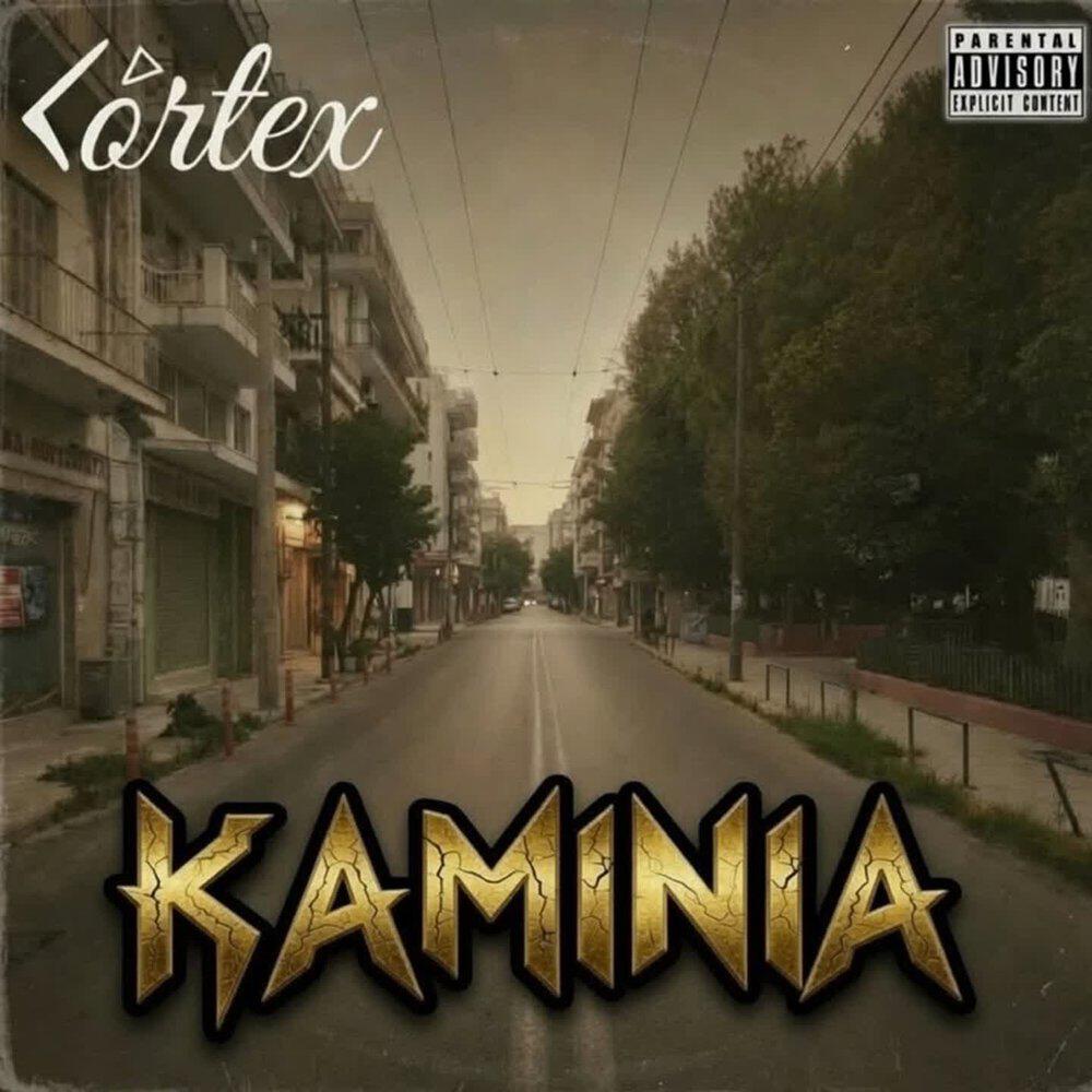 Релиз Kaminia