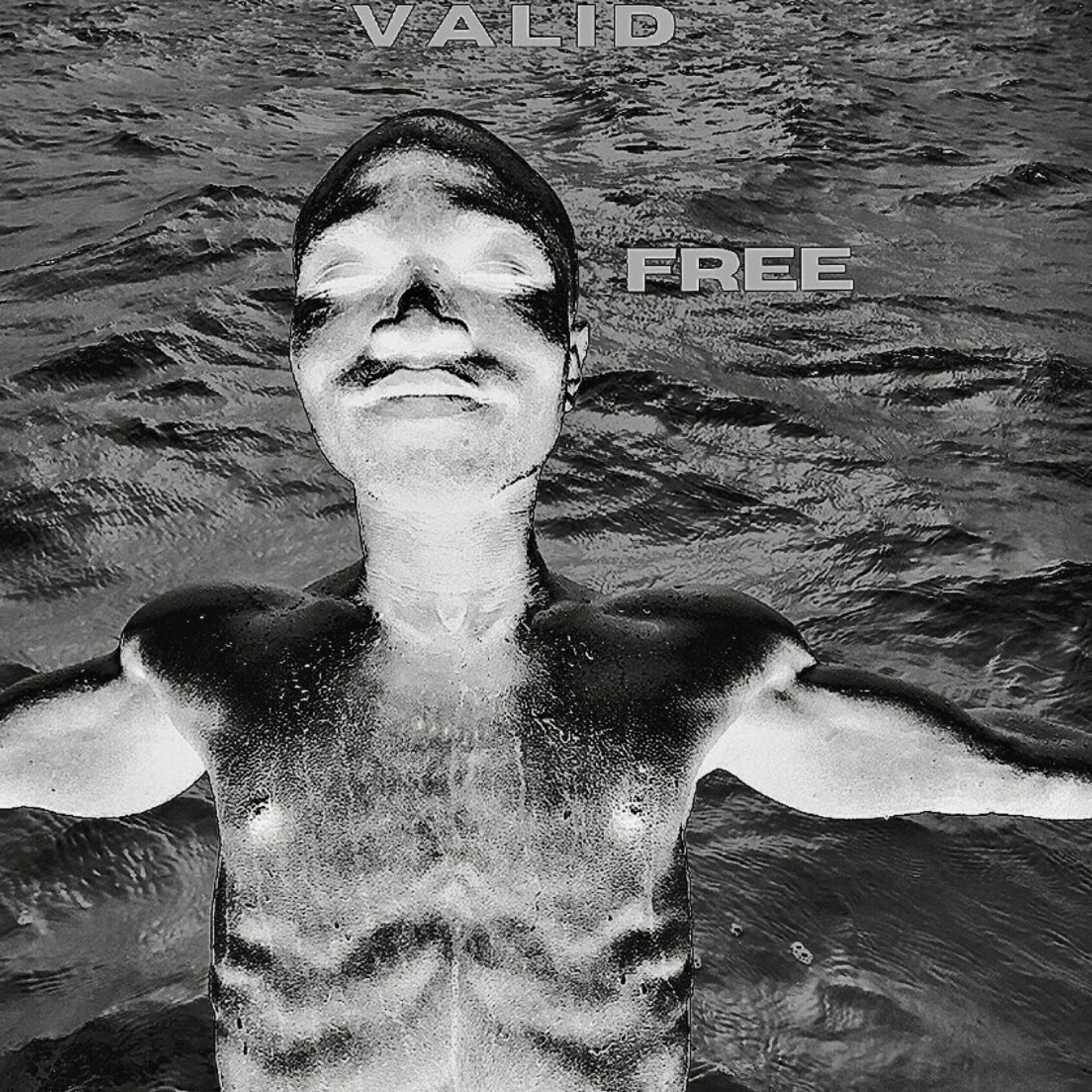 Релиз Free