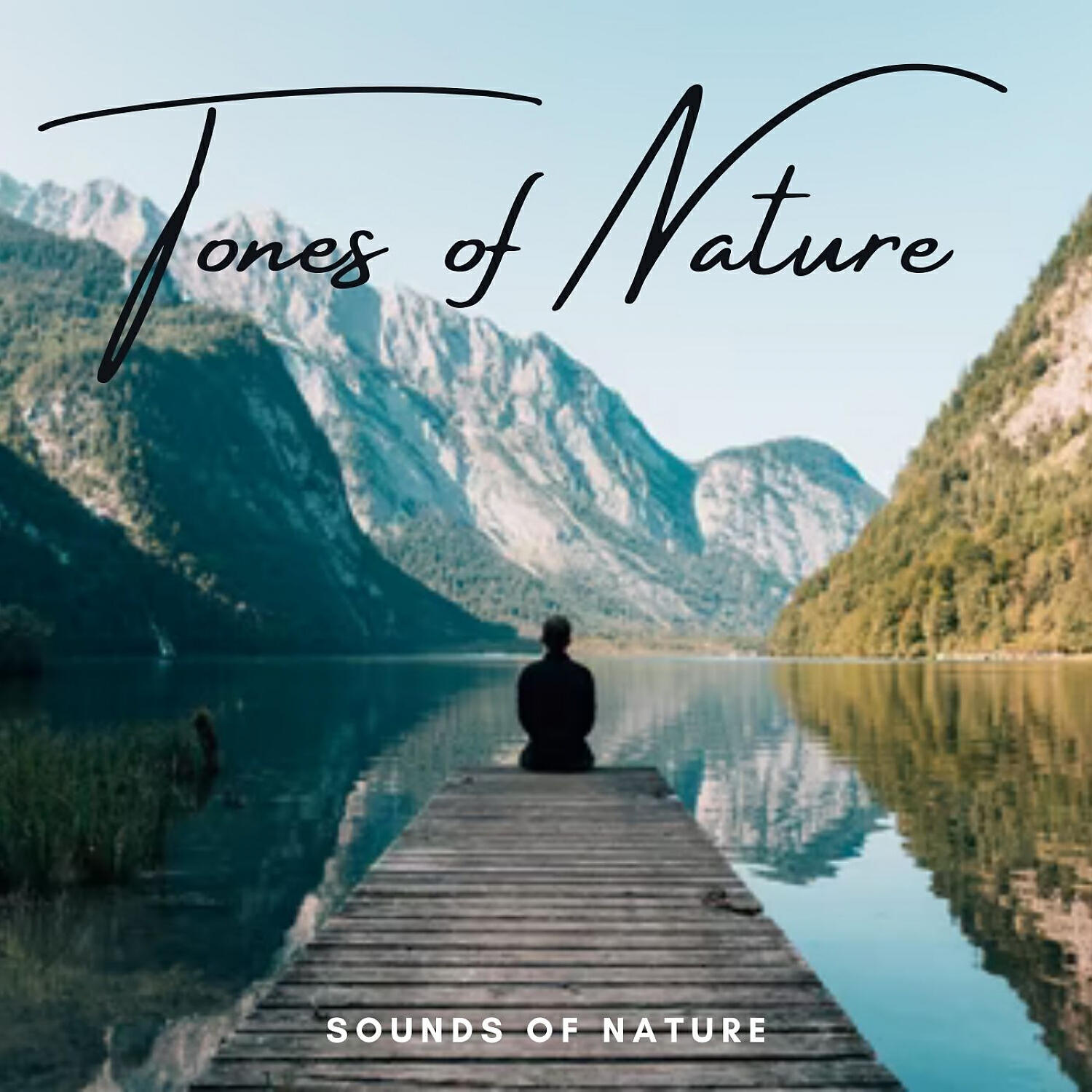Релиз Sounds of Nature: Tones of Nature