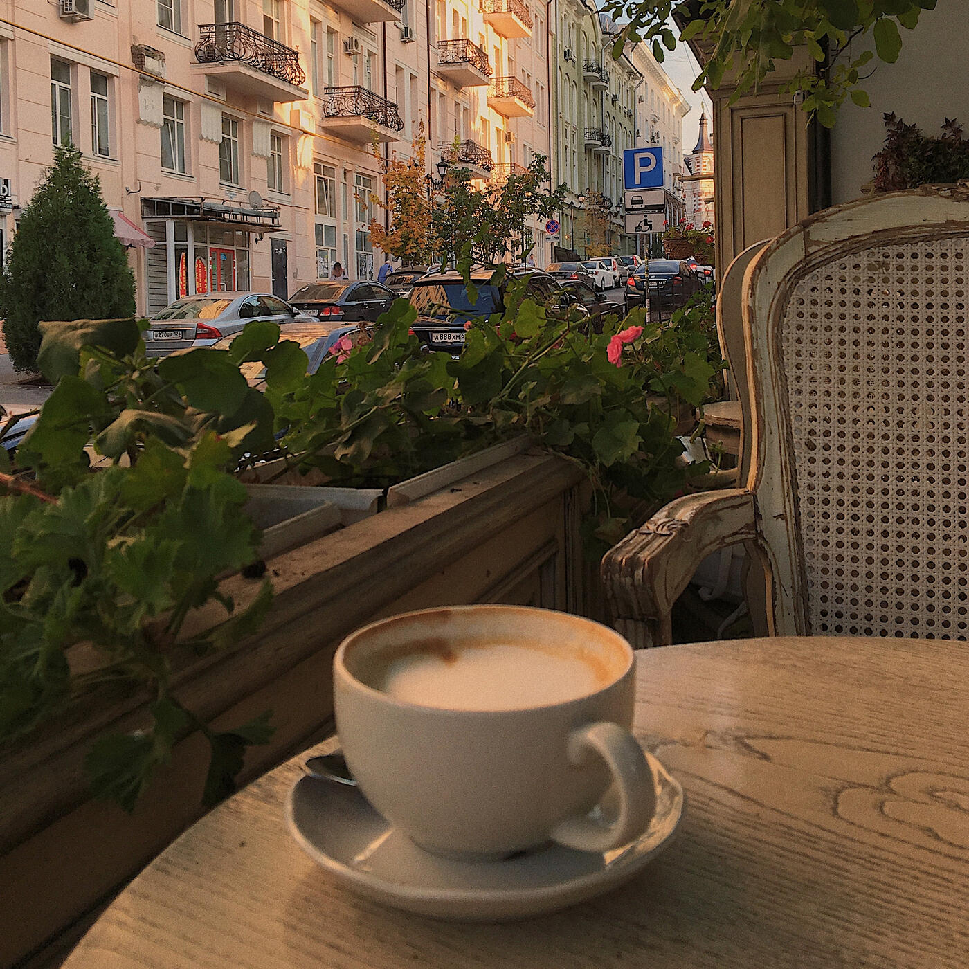 Релиз New Freshness