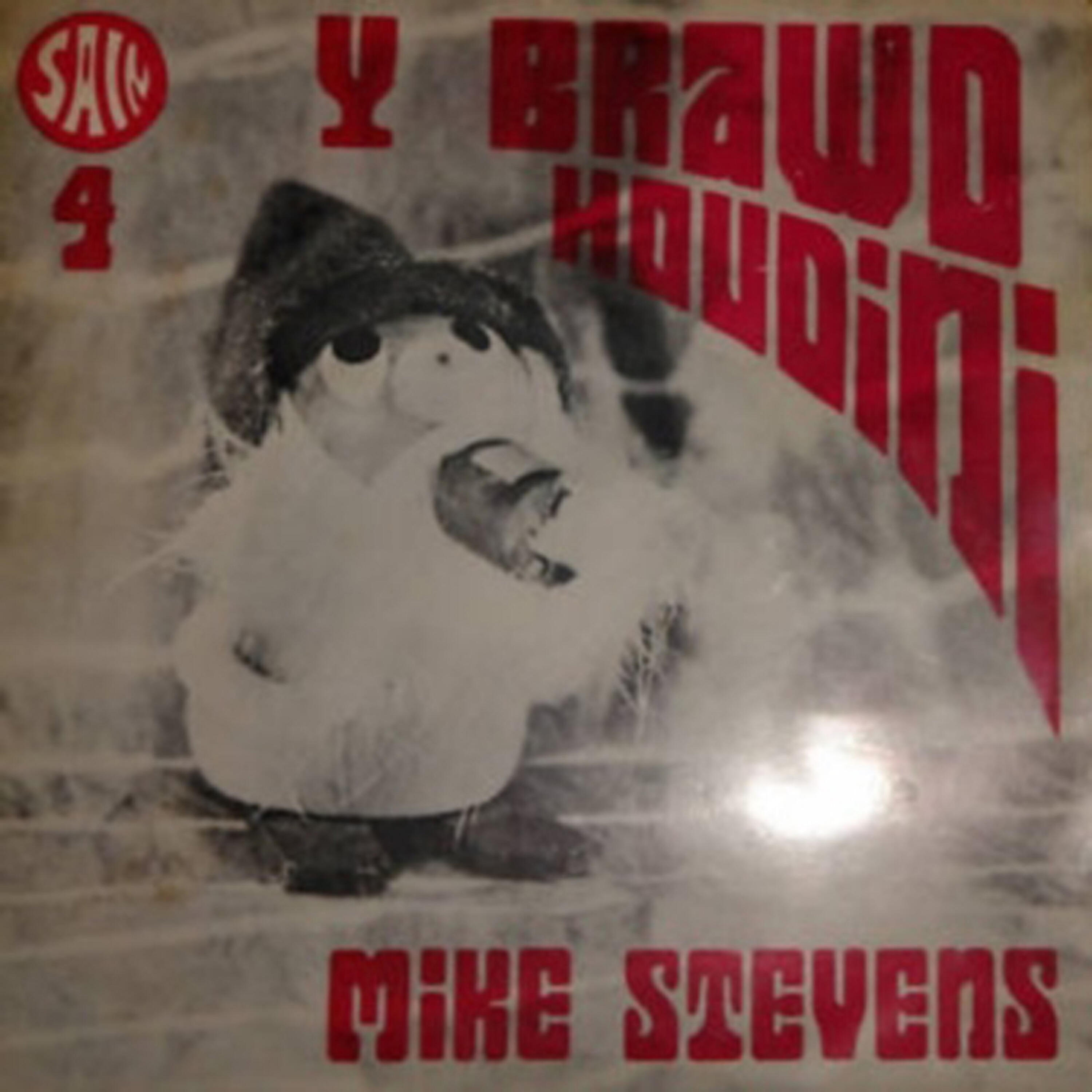 Релиз Y Brawd Hwdini