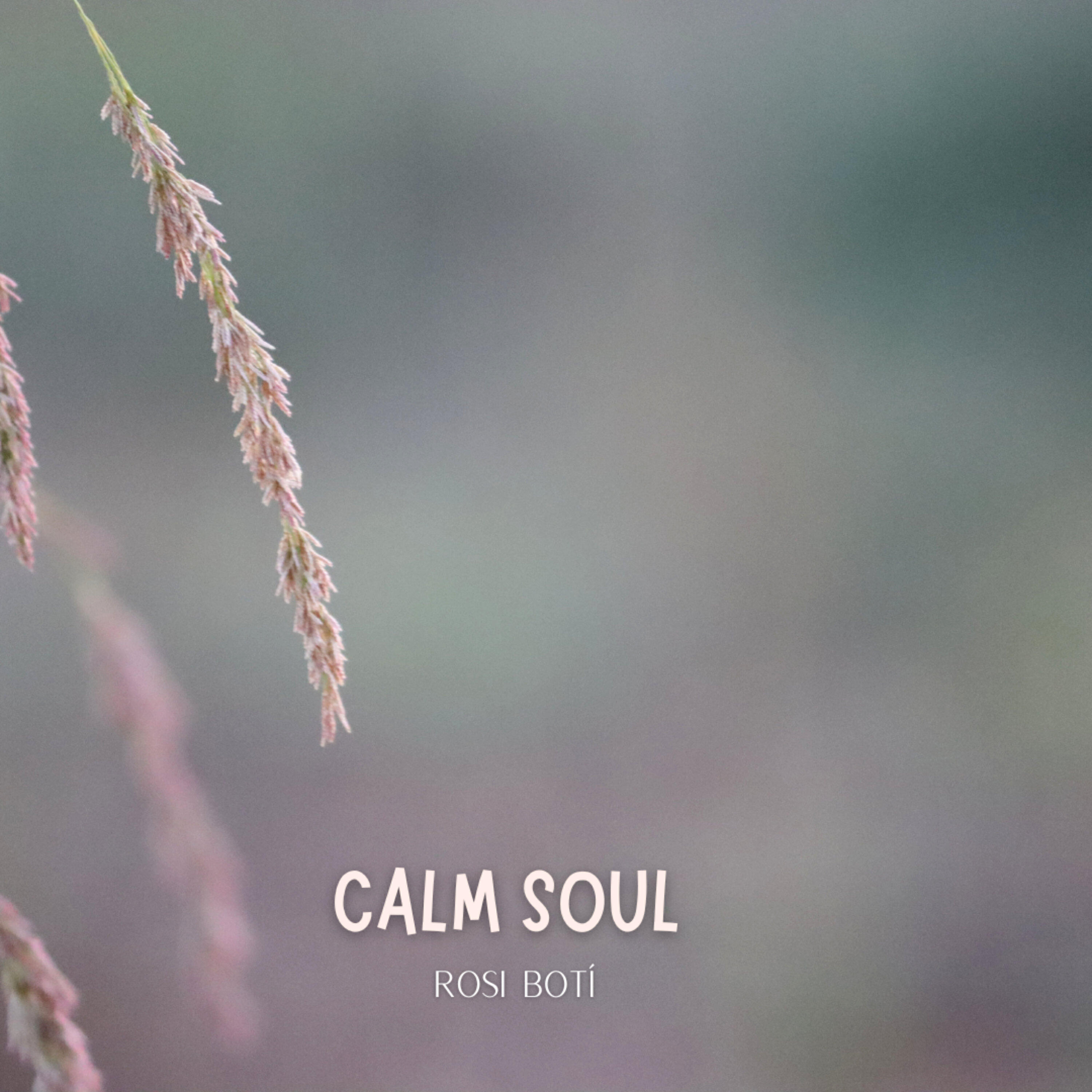 Релиз Calm Soul