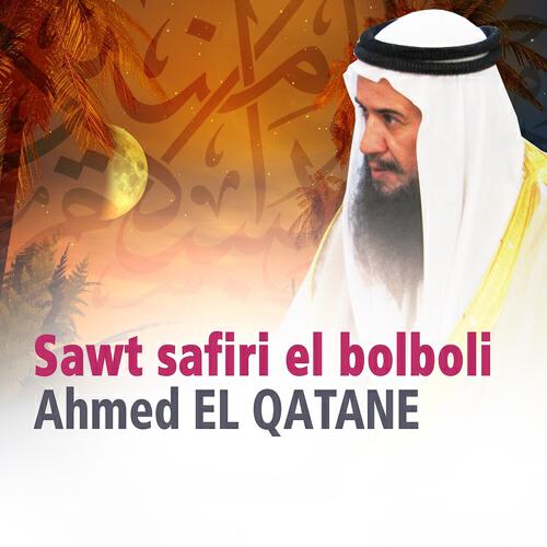 Релиз Sawt safiri el bolboli