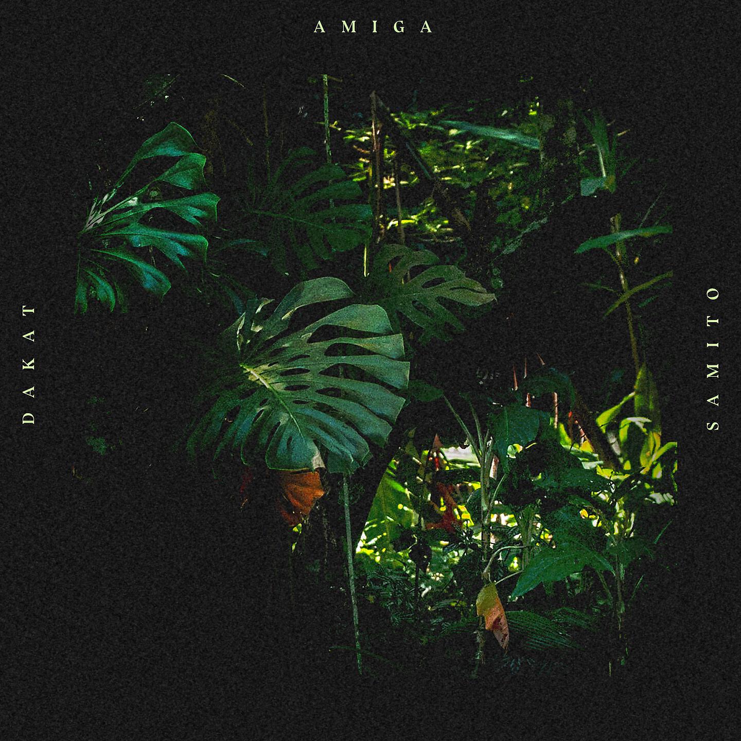 Релиз Amiga
