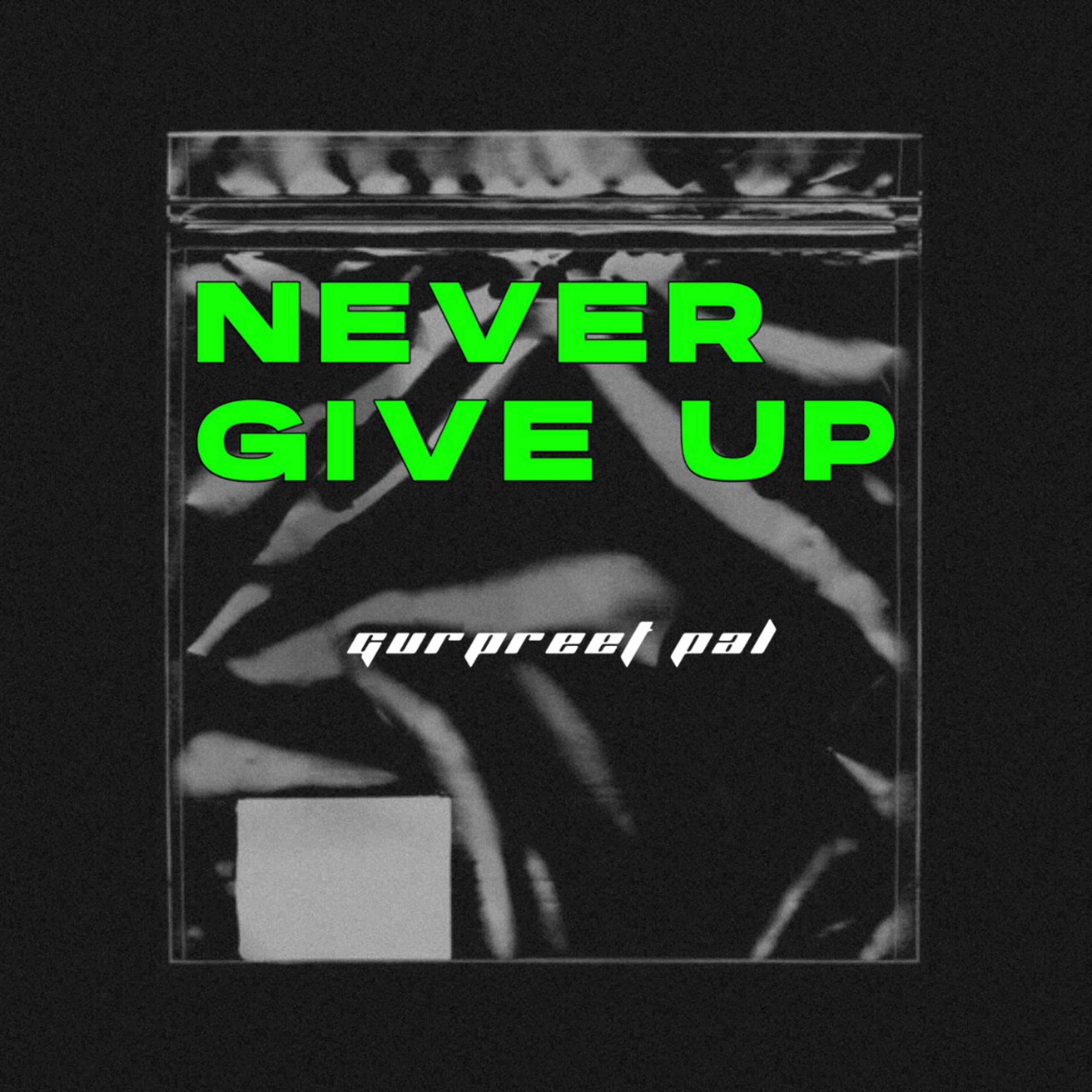 Релиз Never Give Up