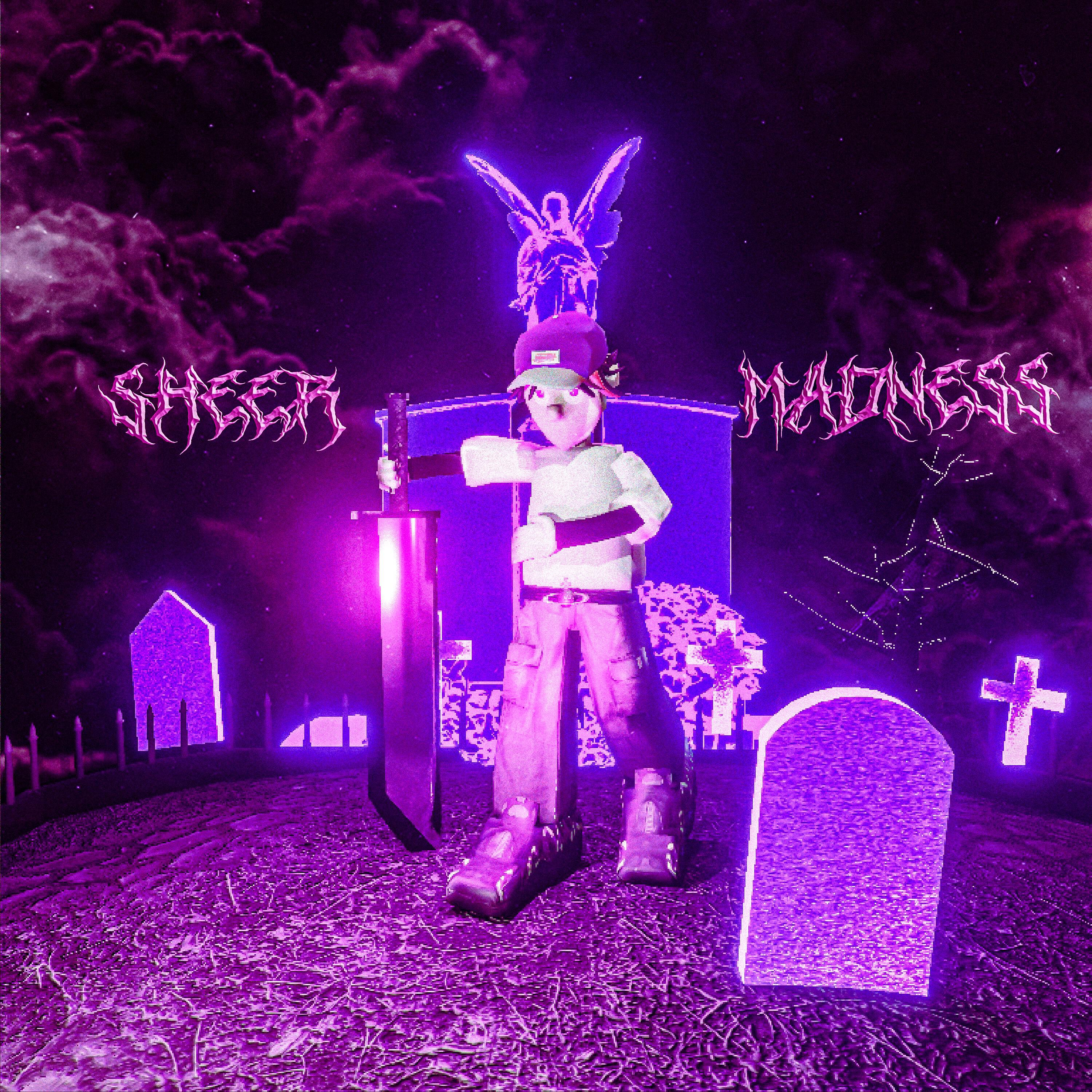 Релиз SHEER MADNESS