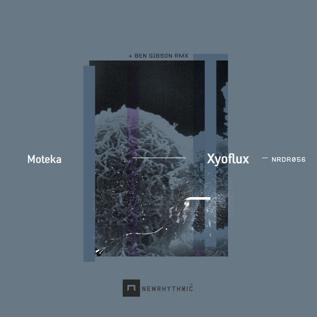 Релиз Xyoflux