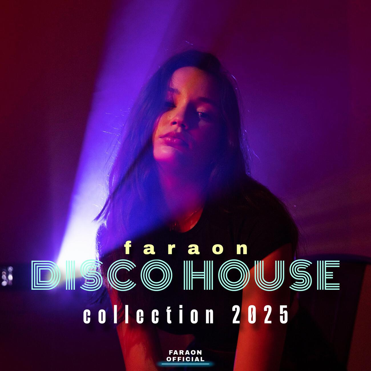 Релиз Disco House Collection 2025