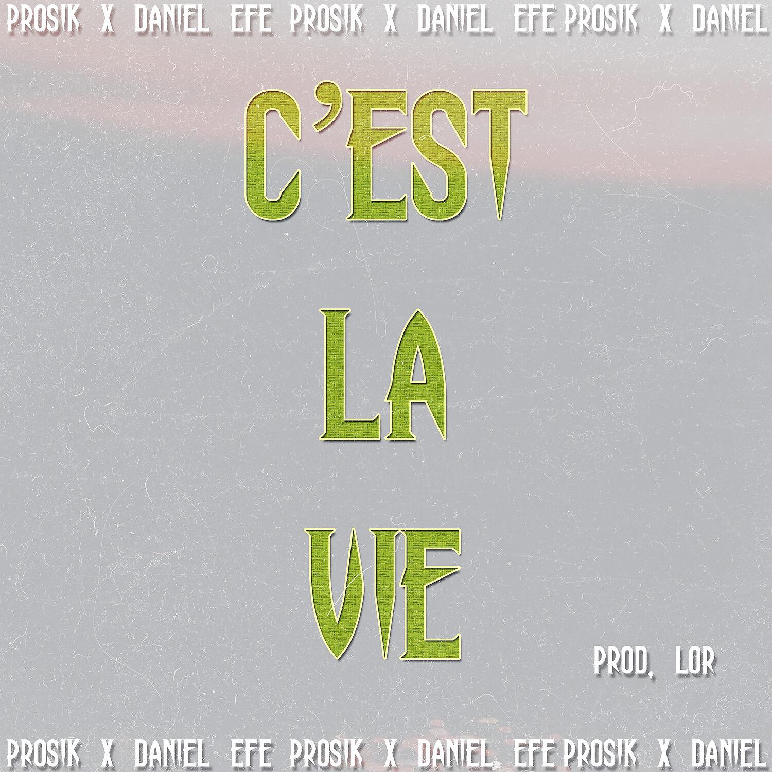 Постер альбома C'est la vie