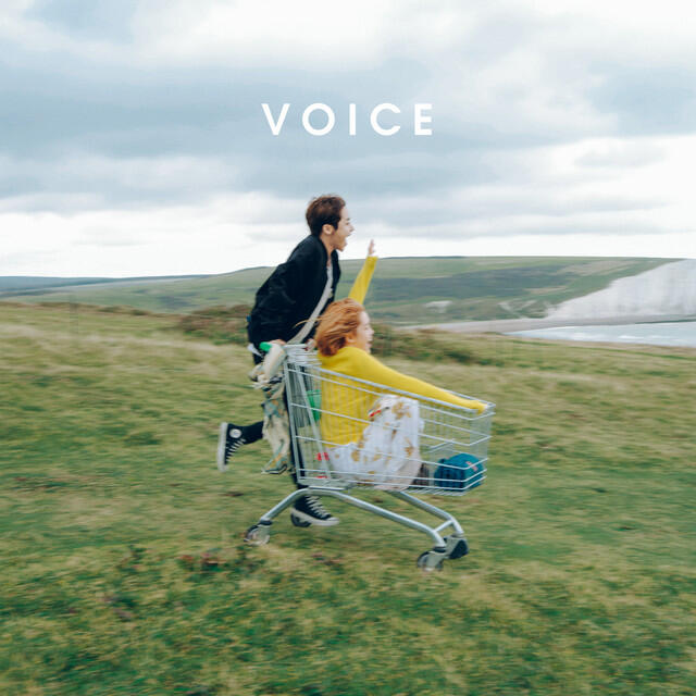 Релиз VOICE