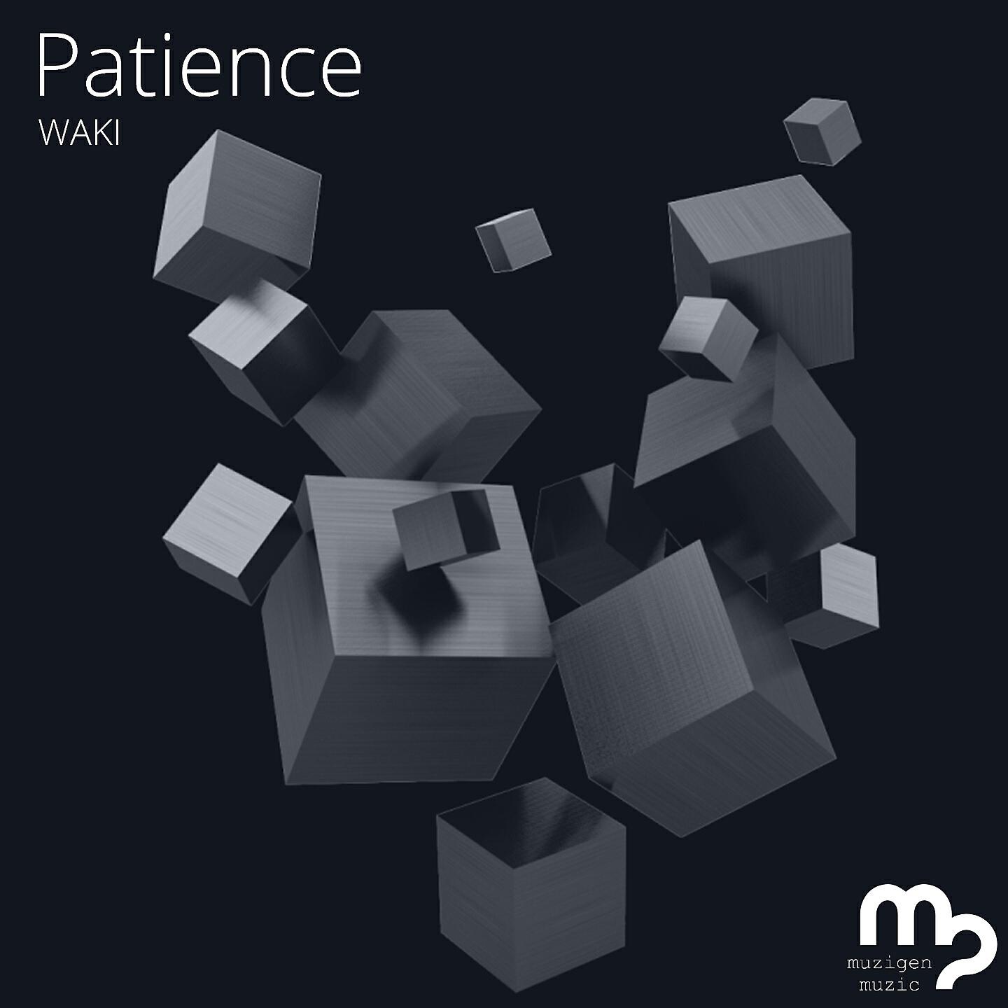 Релиз Patience