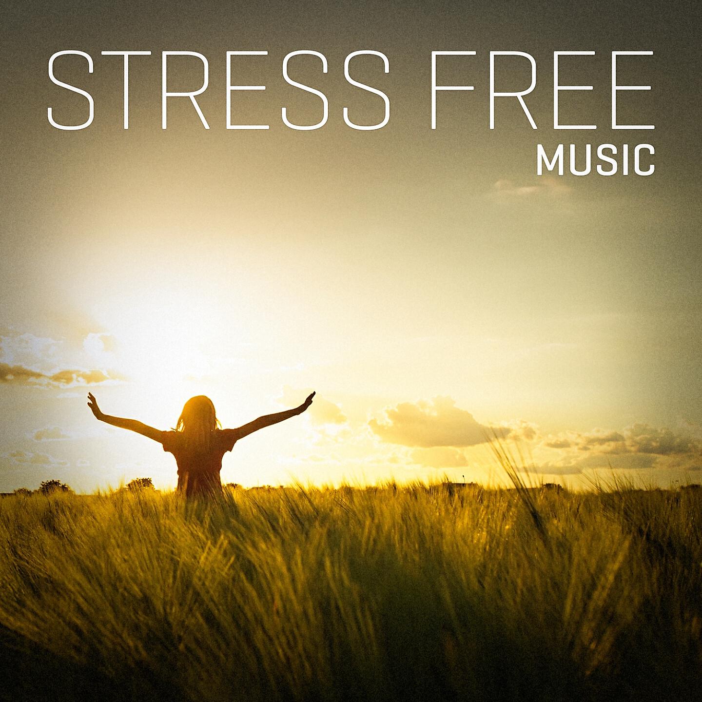 Релиз Stress Free Music