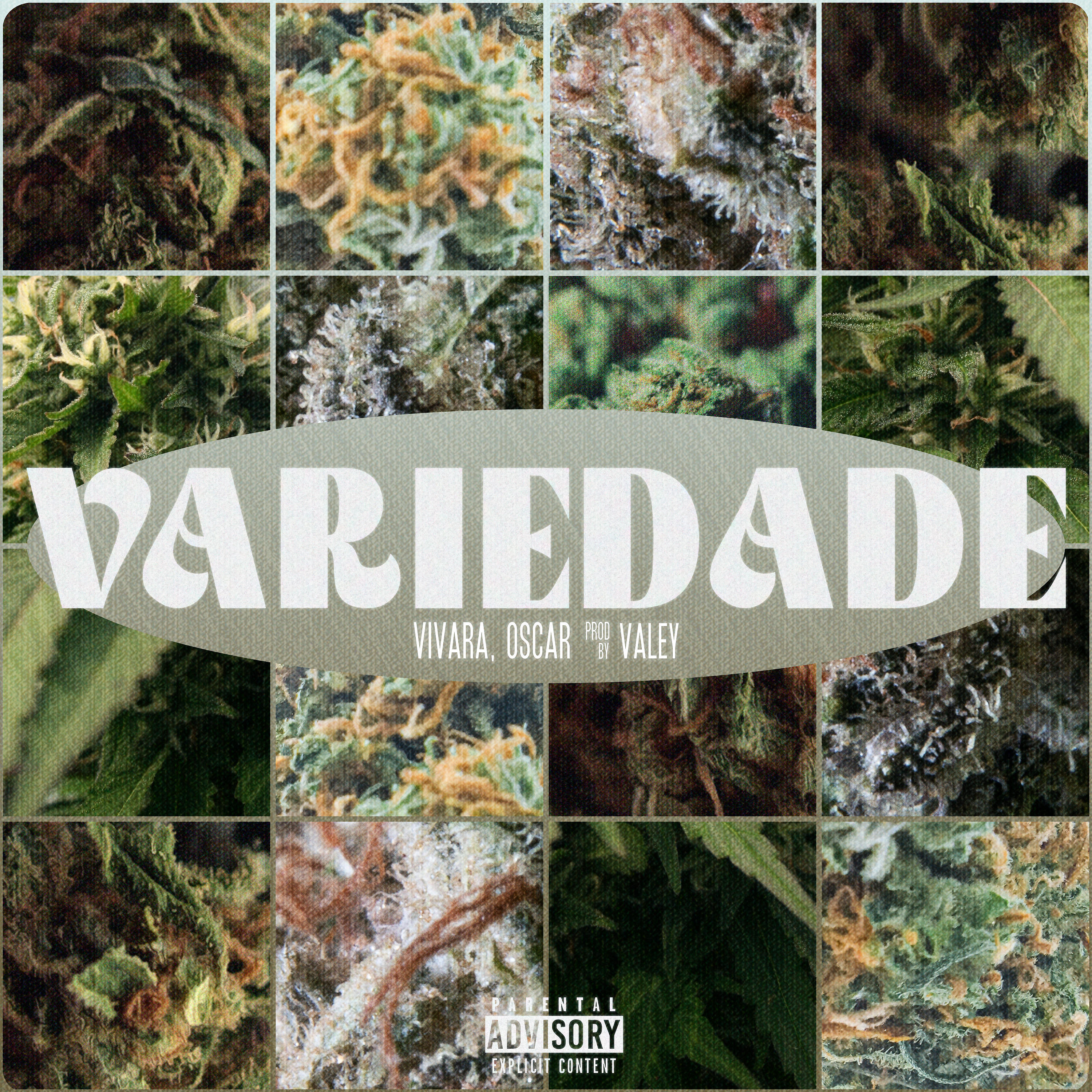 Релиз Variedade