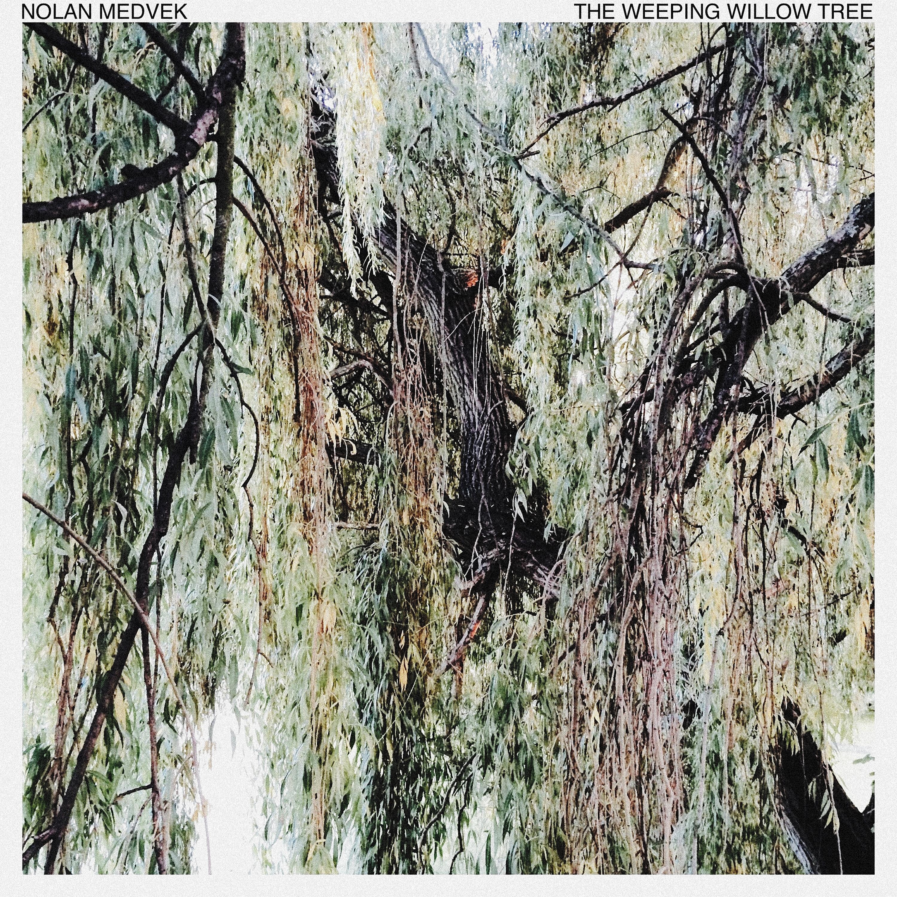 Релиз The Weeping Willow Tree