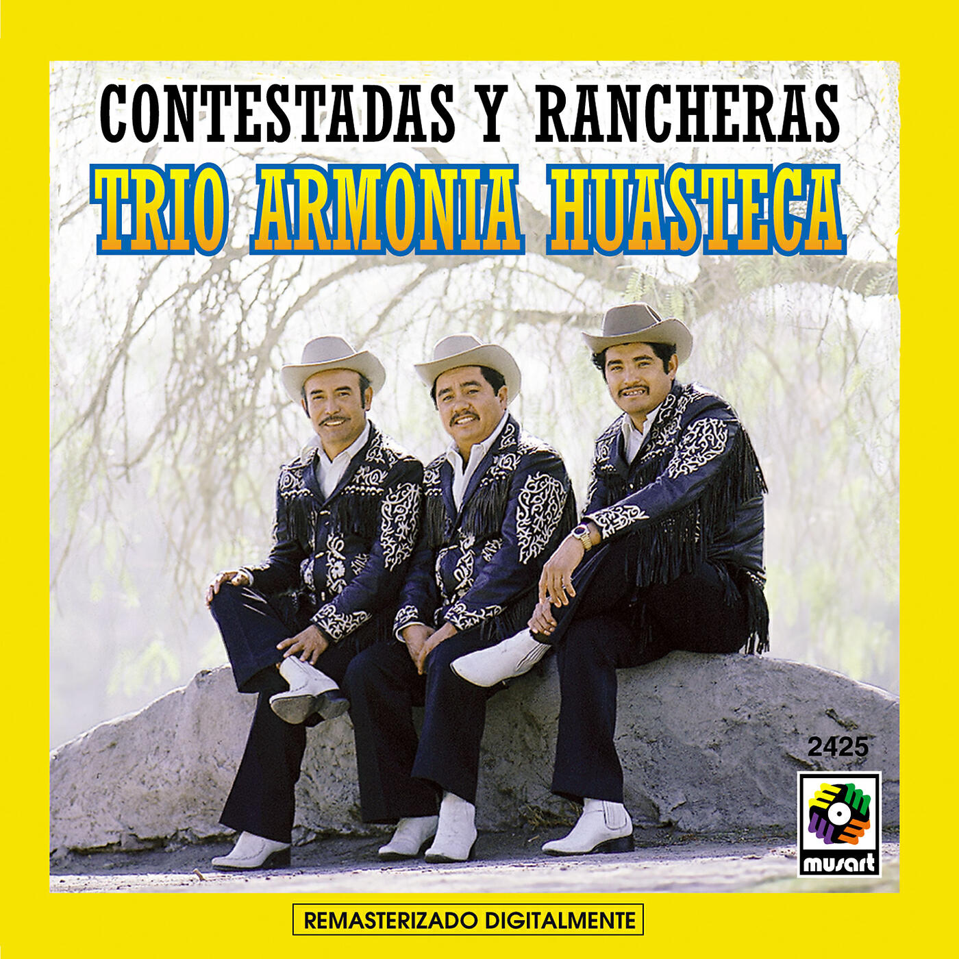 Trío Armonia Huasteca