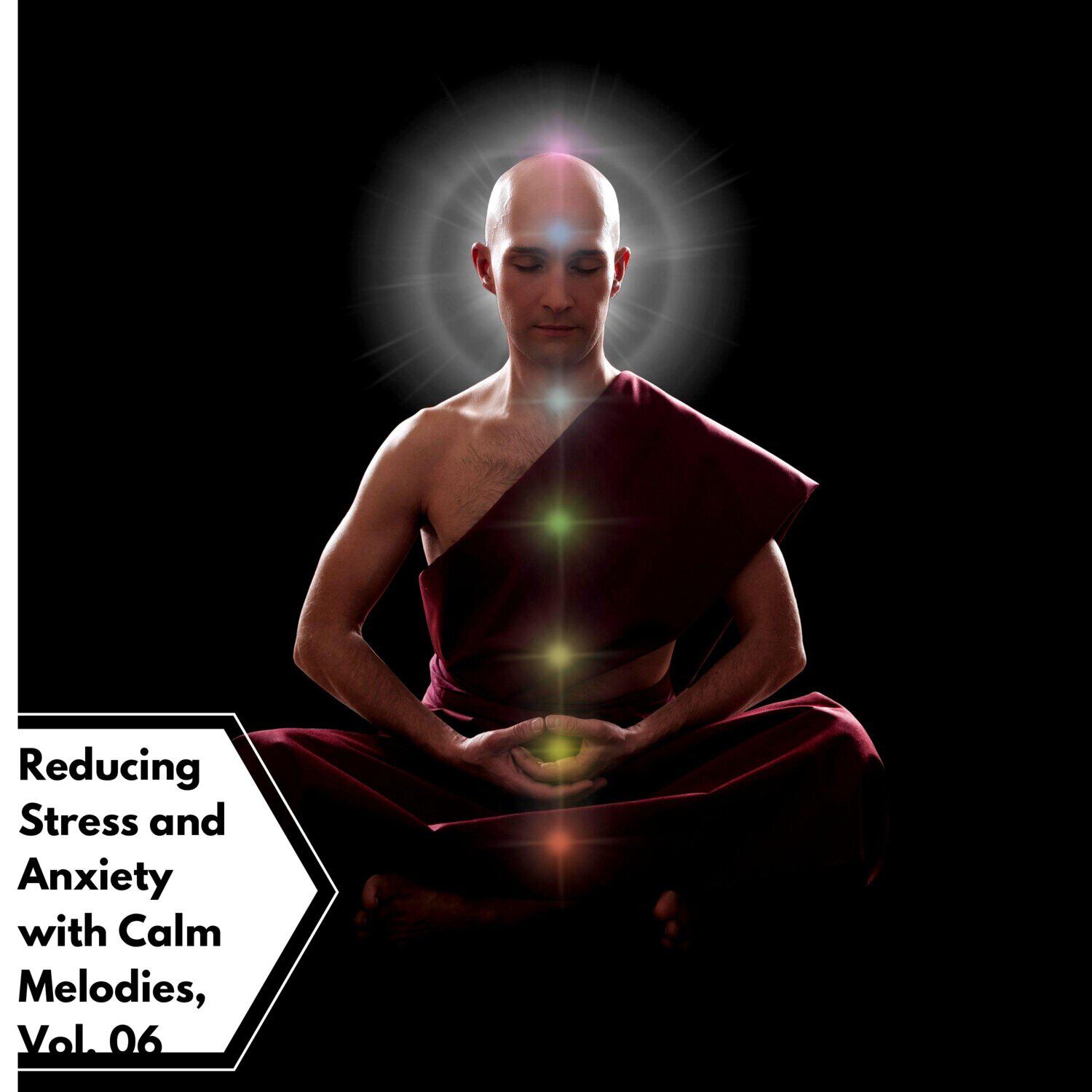 Релиз Reducing Stress and Anxiety with Calm Melodies, Vol. 06