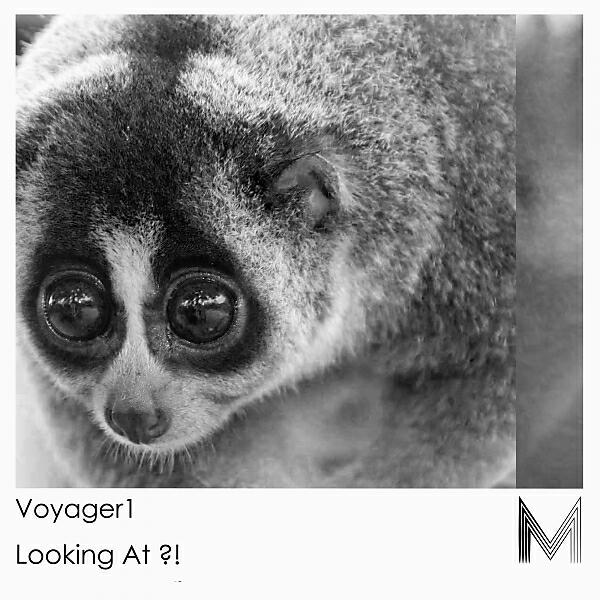 Постер альбома Looking At ?!