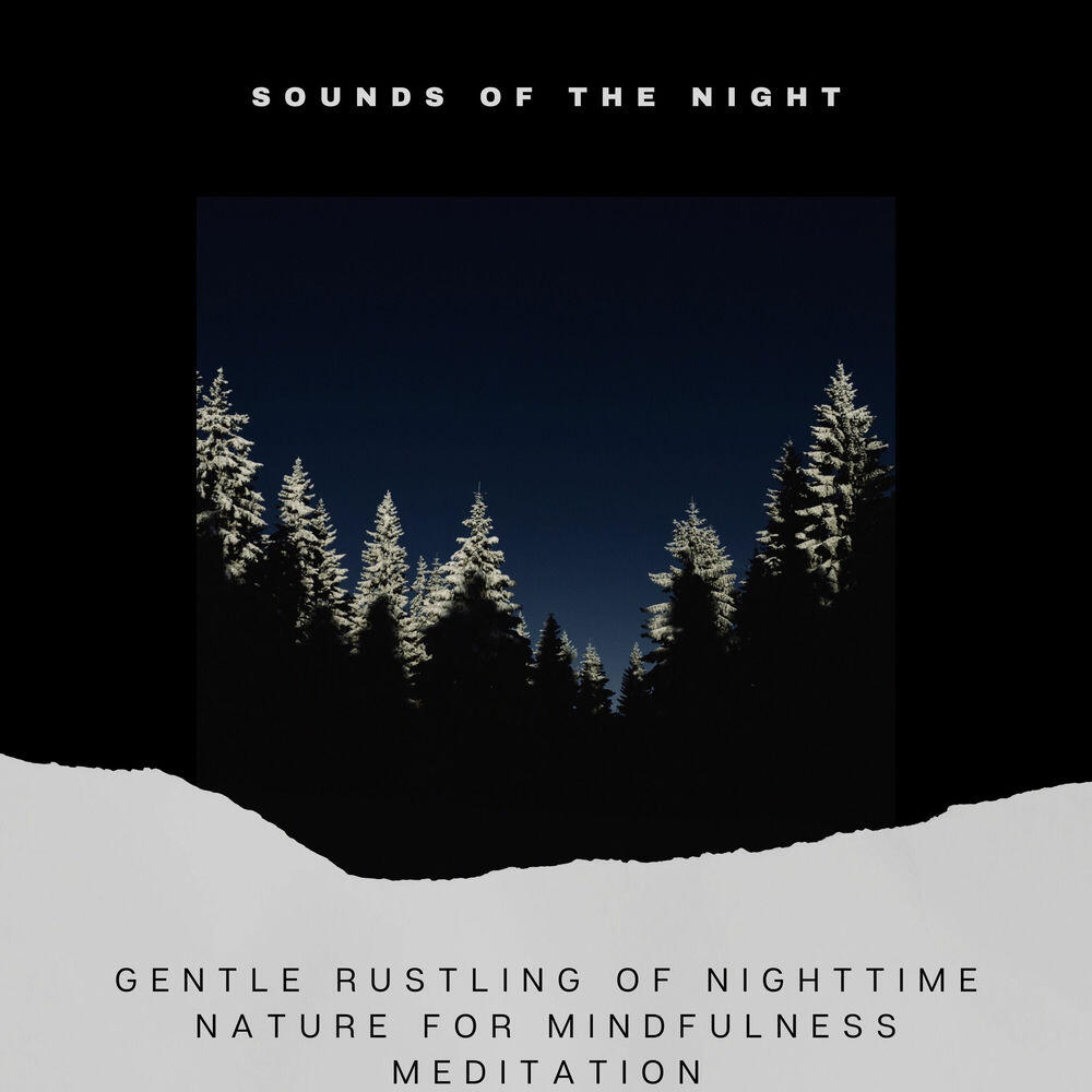 Релиз Gentle Rustling of Nighttime Nature for Mindfulness Meditation