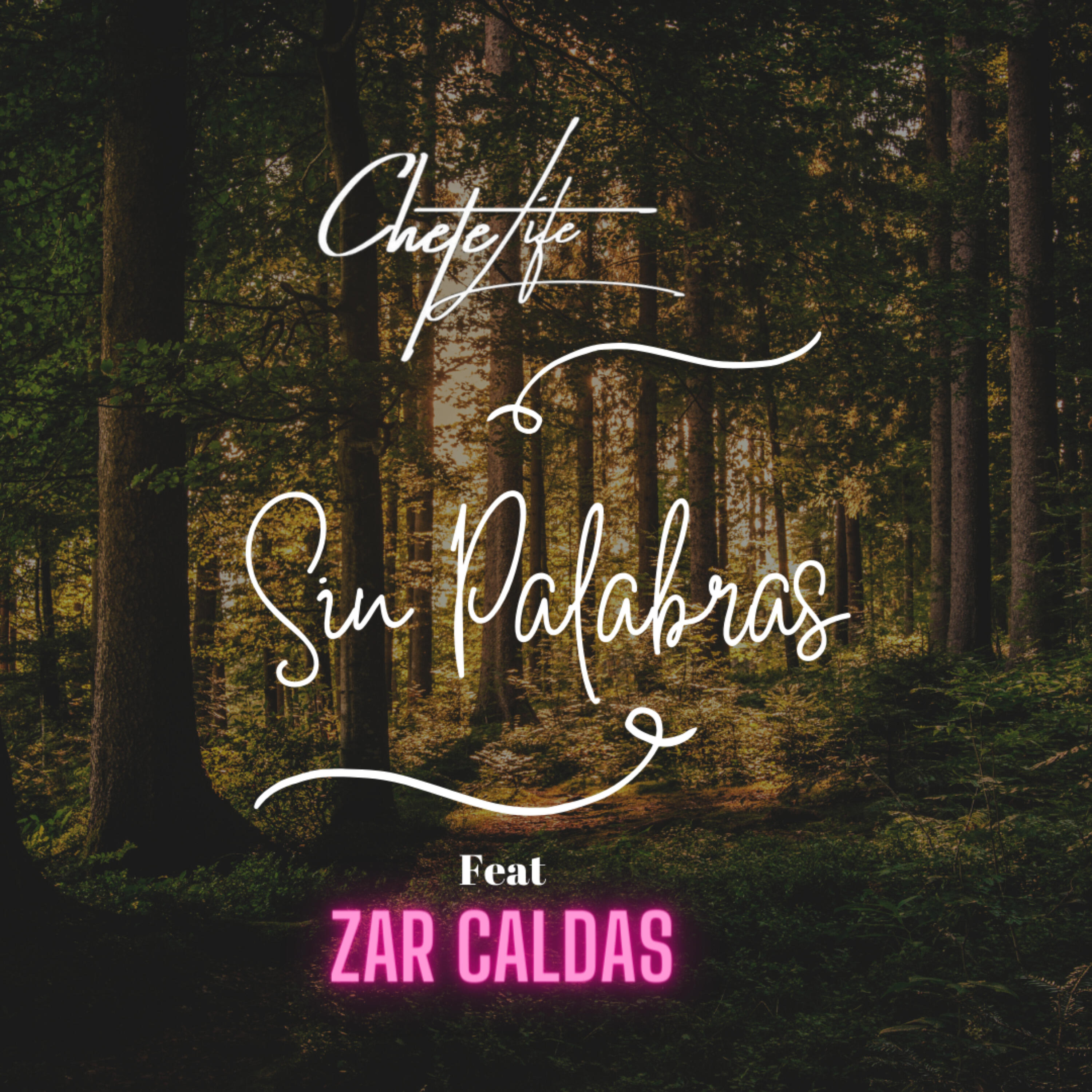 Релиз Sin Palabras