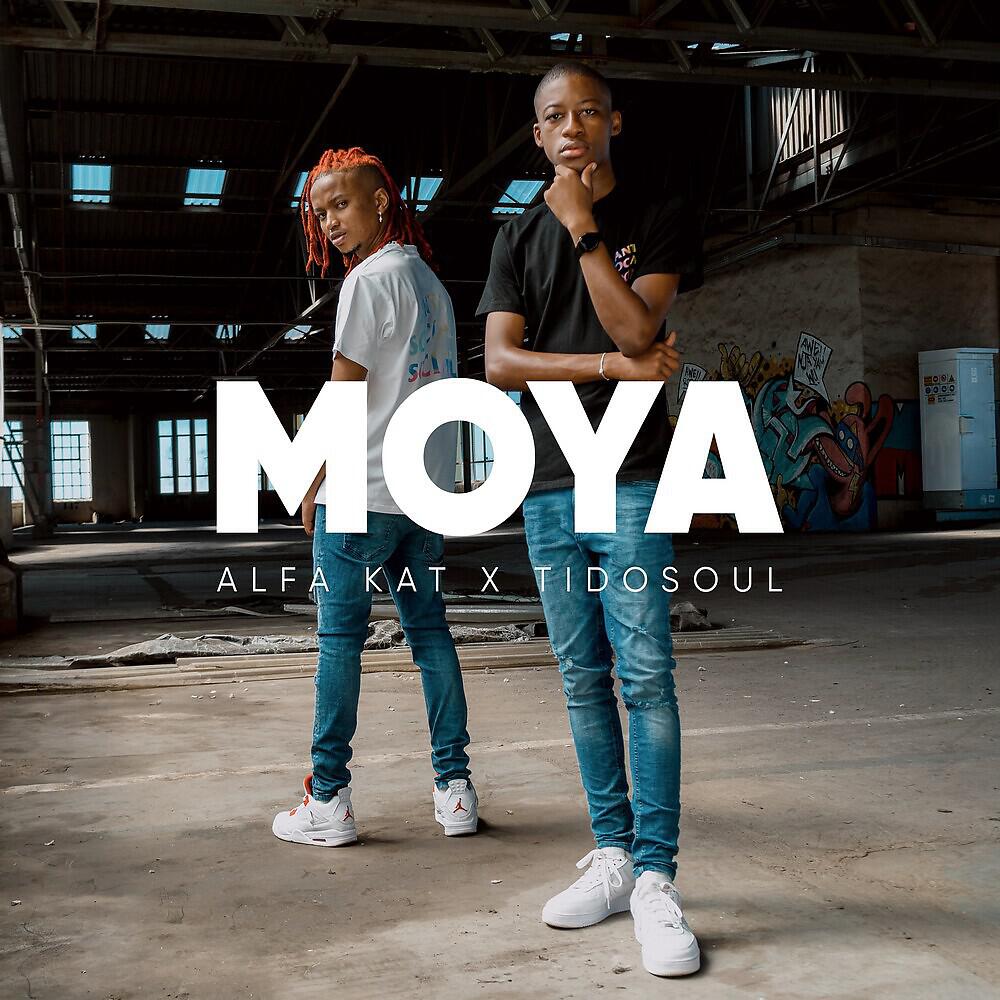 Релиз Moya