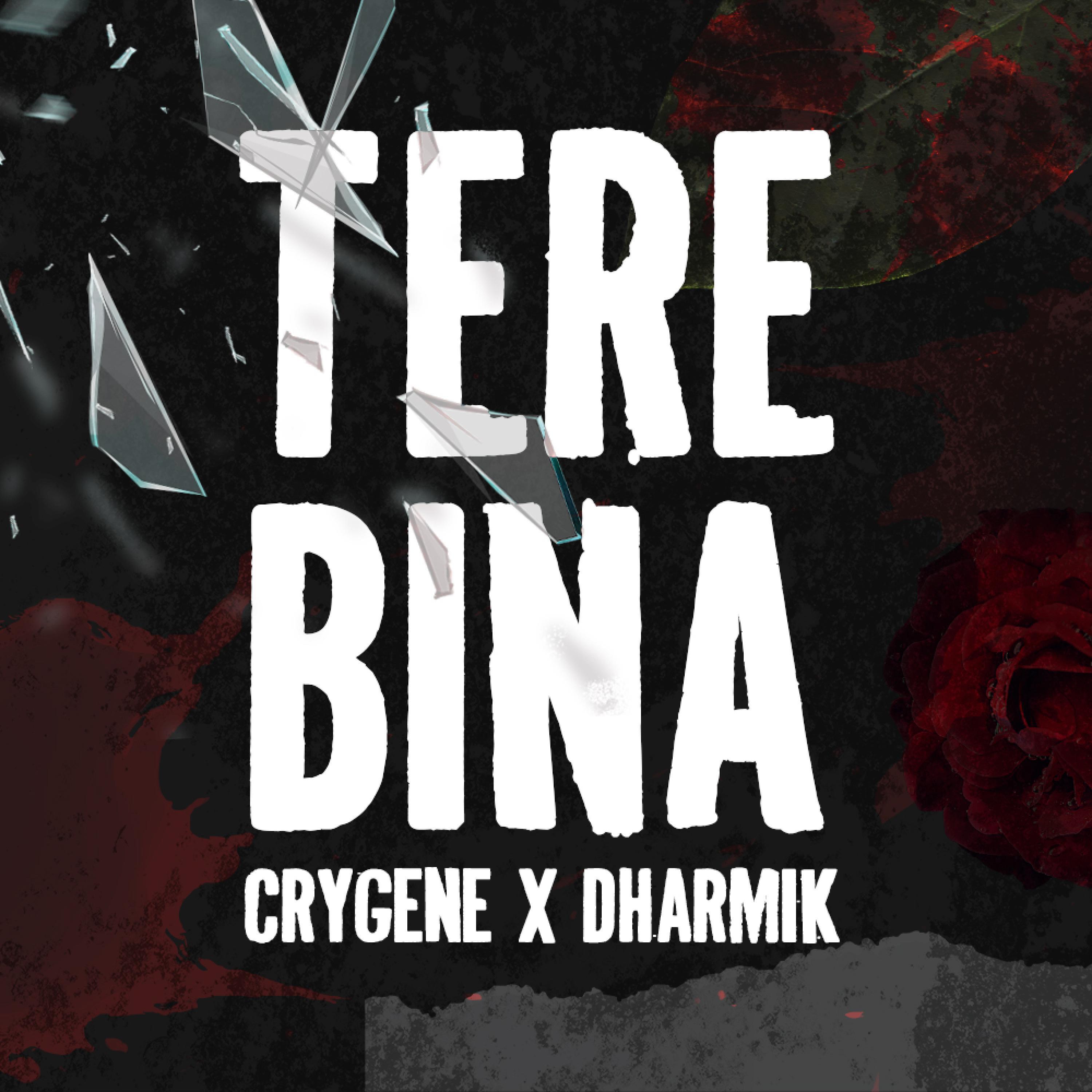 Релиз Tere Bina