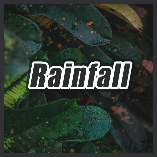 Релиз Rainfall