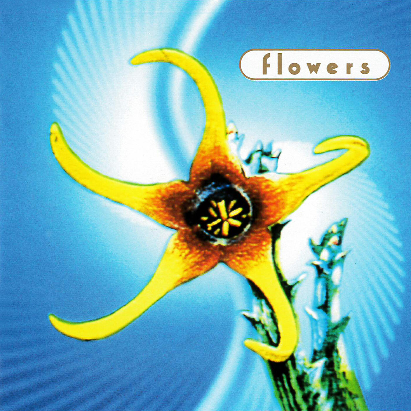 Релиз FLOWERS