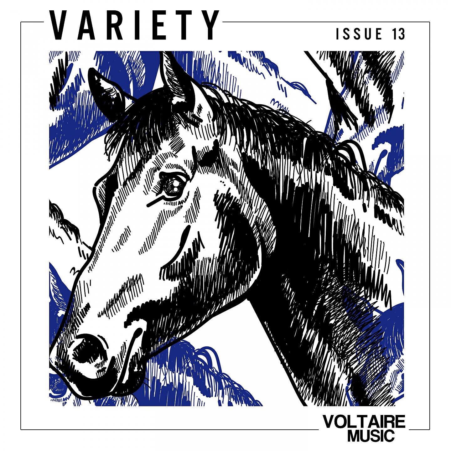 Релиз Voltaire Music pres. Variety Issue 13