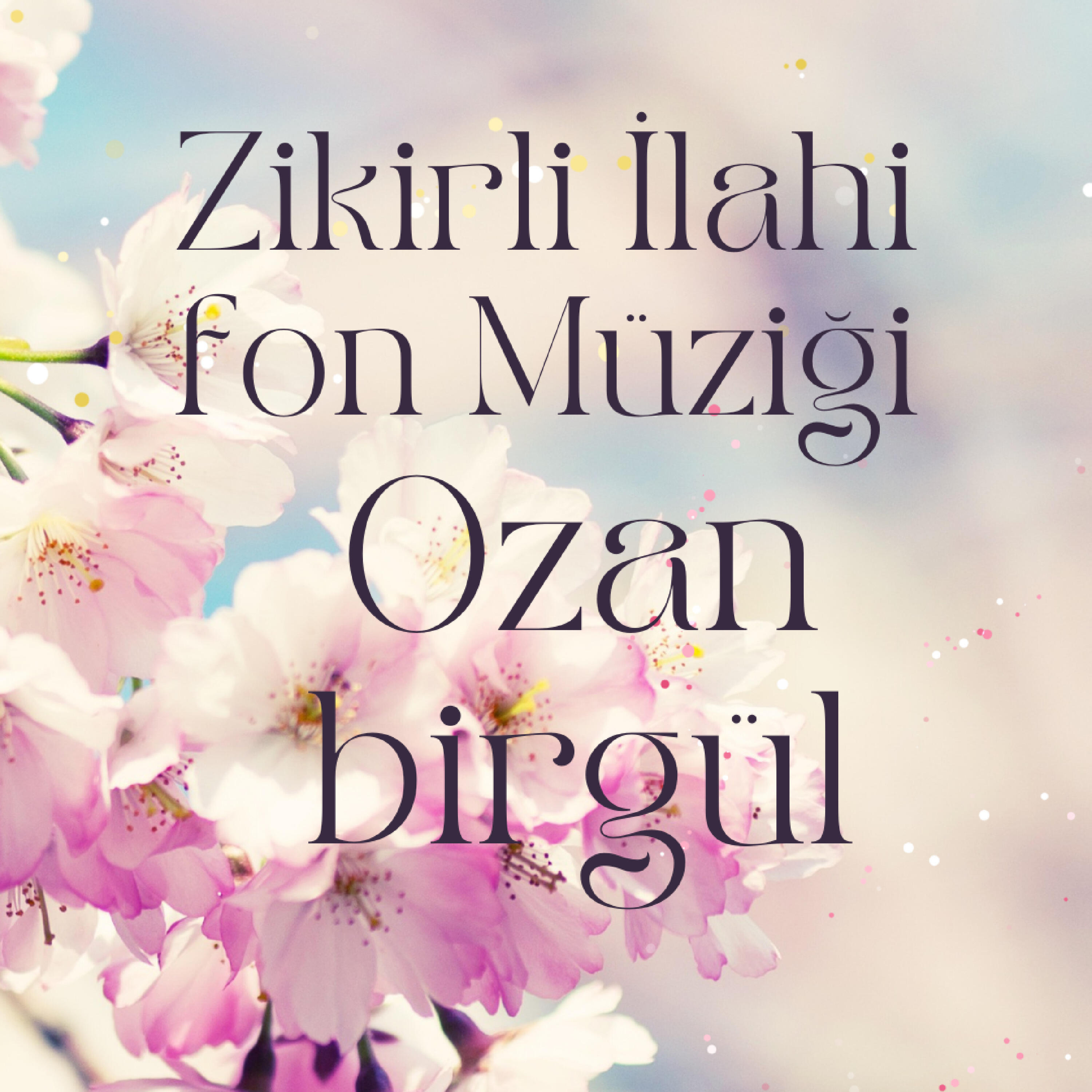 Релиз Zikirli İlahi Fon Müziği