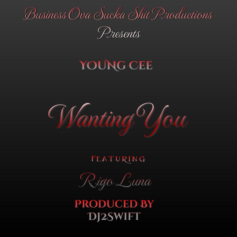 Релиз Wanting You